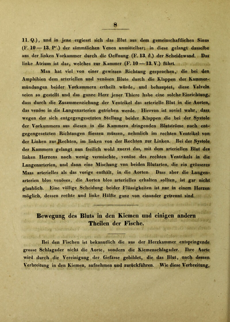 11. Q.), und in jene eigiesst sich das Blut aus dem gemeinschaftlichen Sinus (F. 10—13. P^) der sämmtlichen Venen unmittelbar; in diese gelangt dasselbe aus der linken Vorkammer durch die Oeffnung (F. 13. d.) der Scheidewand. Das linke Atrium ist das, w'elches zur Kammer (F. 10 —13. V.) führt. Man hat viel von einer gewissen Richtung gesprochen, die bei den Amphibien dem arteriellen und venösen Blute durch die Klappen der Kammer- mündungen beider Vorkammern ertheilt würde, und behauptet, diese Valveln seien so gestellt und das ganze Herz jener Thiere habe eine solche Einrichtung, dass durch die Zusammeriziehung der Ventrikel das arterielle Blut in die Aorten, das venöse in die Lungenarterien getrieben werde. Hiervon ist soviel W'ahr, dass w'egen der sich entgegengesetzten Stellung beider Klappen die bei der Systole der Vorkammern aus diesen in die Kammern dringenden Blutströme nach ent- gegengesetzten Richtungen fliessen müssen, nehmlich im rechten Ventrikel von der Linken zurjlechten, im linken von der Rechten zur Linken. Bei der Systole der Kammern gelangt nun freilich wohl zuerst das, mit dem arteriellen Blut des linken Herzens noch wenig vermischte, venöse des rechten Ventrikels in die Lungenarterien, und dann eine Mischung von beiden Blutarten, die ein grösseres Maas arterielles als das vorige enthält, in die Aorten. Dass aber die Lungen- arterien blos venöses, die Aorten blos arterielles erhalten sollten, ist gar nicht glaublich. Eine völlige Scheidung beider Flüssigkeiten ist nur in einem Herzen möglich, dessen rechte und linke Hälfte ganz von einander getrennt sind. Bewegung des Bluts in den Kiemen und einigen andern Theilen der Fische. Bei den Fischen ist bekanntlich die aus der Herzkammer entspringende grosse Schlagader nicht die Aorte, sondern die Kiemenschlagader. Ihre Aorte wird durch die Vereinigung der Gefässe gebildet, die das Blut, nach dessen Verbreitung in den Kiemen, aufnehmen und zurückführen. Wie diese Verbreitung,