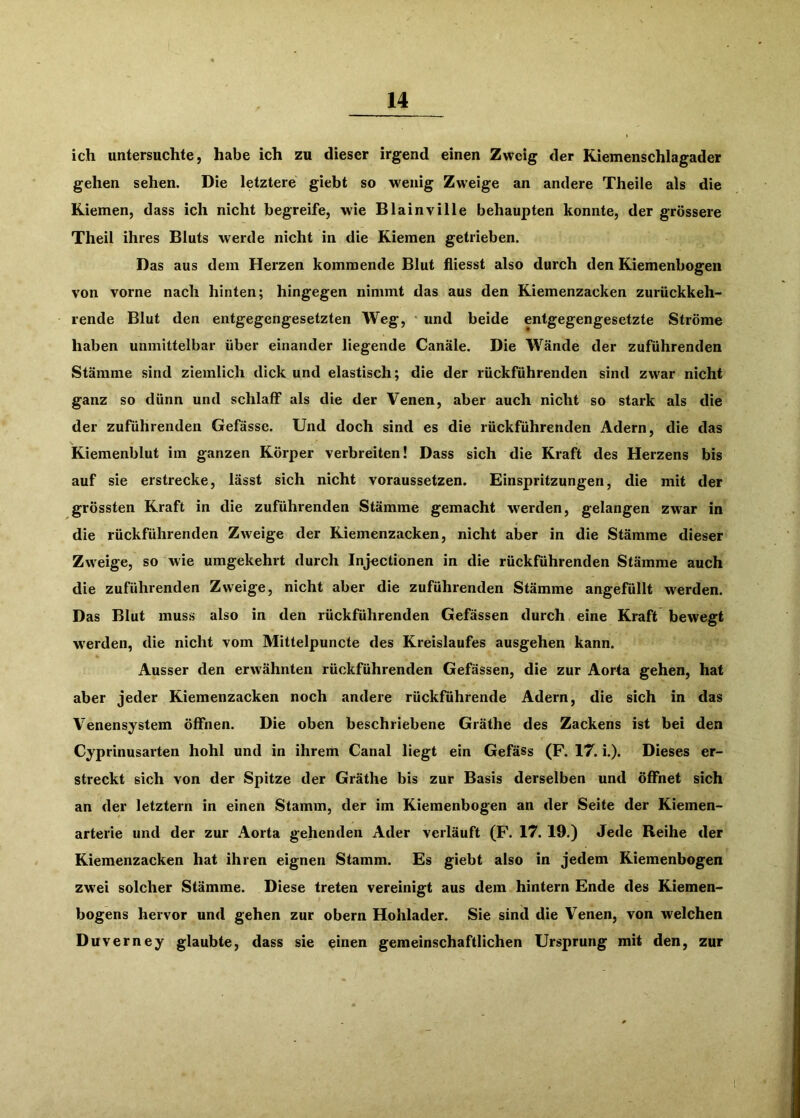ich untersuchte, habe ich zu dieser irgend einen Zweig der Kiemenschlagader gehen sehen. Die letztere giebt so wenig Zweige an andere Theile als die Kiemen, dass ich nicht begreife, wie Blainville behaupten konnte, der grössere Theil ihres Bluts werde nicht in die Kiemen getrieben. Das aus dem Herzen kommende Blut fliesst also durch den Kiemenbogen von vorne nach hinten; hingegen nimmt das aus den Kiemenzacken zurückkeh- rende Blut den entgegengesetzten Weg, ' und beide entgegengesetzte Ströme haben unmittelbar über einander liegende Canäle. Die Wände der zuführenden Stämme sind ziemlich dick und elastisch; die der rückführenden sind zwar nicht ganz so dünn und schlaff als die der Venen, aber auch nicht so stark als die der zuführenden Gefässe. Und doch sind es die rückführenden Adern, die das Kiemenblut im ganzen Körper verbreiten! Dass sich die Kraft des Herzens bis auf sie erstrecke, lässt sich nicht voraussetzen. Einspritzungen, die mit der grössten Kraft in die zuführenden Stämme gemacht werden, gelangen zw^ar in die rückführenden Zweige der Kiemenzacken, nicht aber in die Stämme dieser Zweige, so wie umgekehrt durch Injectionen in die rückführenden Stämme auch die zuführenden Zweige, nicht aber die zuführenden Stämme angefüllt werden. Das Blut muss also in den rückführenden Gefässen durch eine Kraft bewegt werden, die nicht vom Mittelpuncte des Kreislaufes ausgehen kann. Ausser den erwähnten rückführenden Gefässen, die zur Aorta gehen, hat aber jeder Kiemenzacken noch andere rückführende Adern, die sich in das Venensystem öffnen. Die oben beschriebene Gräthe des Zackens ist bei den Cyprinusarten hohl und in ihrem Canal liegt ein Gefäss (F. 17. i.). Dieses er- streckt sich von der Spitze der Gräthe bis zur Basis derselben und öffnet sich an der letztem in einen Stamm, der im Kiemenbogen an der Seite der Kiemen- arterie und der zur Aorta gehenden Ader verläuft (F. 17. 19.) Jede Reihe der Kiemenzacken hat ihren eignen Stamm. Es giebt also in jedem Kiemenbogen zwei solcher Stämme. Diese treten vereinigt aus dein hintern Ende des Kiemen- bogens hervor und gehen zur obern Hohlader. Sie sind die Venen, von welchen Duverney glaubte, dass sie einen gemeinschaftlichen Ursprung mit den, zur