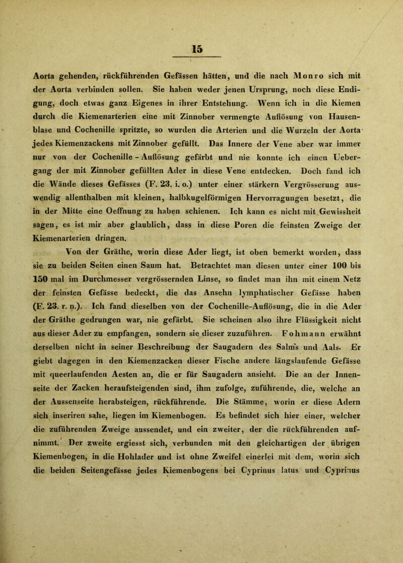 Aorta gehenden, rückfiihrenden Gefassen hätten, und die nach Monro sich mit der Aorta verbinden sollen. Sie haben weder jenen Ursprung, noch diese Endi- gung, doch etwas ganz Eigenes in ihrer Entstehung. Wenn ich in die Kiemen durch die Kiemenarterien eine mit Zinnober vermengte Auflösung von Hausen- blase und Cochenille spritzte, so wurden die Arterien und die Wurzeln der Aorta- jedes Kiemenzackens mit Zinnober gefüllt. Das Innere der Vene aber war immer nur von der Cochenille - Auflösung gefärbt und nie konnte ich einen TJeber- gang der mit Zinnober gefüllten Ader in diese Vene entdecken. Doch fand ich die Wände dieses Gefässes (F. 23. i. o.) unter einer stärkern Vergrösserung aus- wendig allenthalben mit kleinen, halbkugelförmigen Hervorragungen besetzt, die in der Mitte eine Oeffnung zu haben schienen. Ich kann es nicht mit Gewissheit sagen, es ist mir aber glaublich, dass in diese Poren die feinsten Zweige der Kiemenarterien dringen. Von der Gräthe, W'orin diese Ader liegt, ist oben bemerkt worden, dass sie zu beiden Seiten einen Saum hat. Betrachtet man diesen unter einer 100 bis 150 mal im Durchmesser vergrössernden Linse, so findet man ihn mit einem Netz der feinsten Gefässe bedeckt, die das Ansehn lymphatischer Gefässe haben (F. 23. r. n.). Ich fand dieselben von der Cochenille-Auflösung, die in die Ader der Gräthe gedrungen war, nie gefärbt. Sie scheinen also ihre Flüssigkeit nicht aus dieser Ader zu empfangen, sondern sie dieser zuzuführen. Fohmann erwähnt derselben nicht in seiner Beschreibung der Saugadern des Sahns und Aals. Er giebt dagegen in den Kiemenzacken dieser Fische andere längslaufende Gefässe mit queerlaufenden Aesten an, die er für Saugadern ansieht. Die an der Innen- seite der Zacken heraufsteigenden sind, ihm zufolge, zuführende, die, welche an der Aussenseite herabsteigen, rückführende. Die Stämme, worin er diese Adern sich inseriren sähe, liegen im Kiemenbogen. Es befindet sich hier einer, welcher die zuführenden Zweige aussendet, und ein zweiter, der die rückführenden auf- nimmt. ^ Der zweite ergiesst sich, verbunden mit den gleichartigen der übrigen Kiemenbogen, in die Hohlader und ist ohne Zweifel einerlei mit dem, worin sich die beiden Seitengefässe jedes Kiemenbogens bei Cyprinus latus und Cyprinus