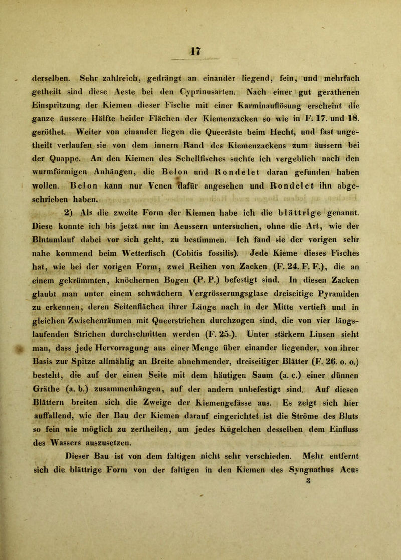 derselben. Sehr zahlreich, gedrängt an einander liegend, fein, und mehrfach getheilt sind diese Aeste bei den Cyprinusarten. Nach einer gut gerathenen Einspritzung der Riemen dieser Fische mit einer Rarminauflösung erscheint die ganze äussere Hälfte beider Flächen der Riemenzacken so wie in F. 17. und 18. geröthet. Weiter von einander liegen die Queeräste beim Hecht, und fast unge- theilt verlaufen sie von dem innern Rand des Riemenzackens zum äussern bei der Qufippe. An den Riemen des Schellfisches suchte ich vergeblich nach den w'urmförmigen Anhängen, die Belon und Rondelet daran gefunden haben wollen. Belon kann nur Venen tlafür angesehen und Rondelet ihn abge- schrieben haben. 2) Als die zweite Form der Riemen habe ich die blättrige genannt. Diese konnte ich bis jetzt nur im Aeussern untersuchen, ohne die Art, wie der Blntumlauf dabei vor sich geht, zu bestimmen. Ich fand sie der vorigen sehr nahe kommend beim Wetterfisch (Cobitis fossilis). Jede Rieme dieses Fisches hat, wie bei der vorigen Form, zwei Reihen von Zacken (F. 24. F. F.), die an einem gekrümmten, knöchernen Bogen (P. P.) befestigt sind. In diesen Zacken glaubt man unter einem schwächern Vergrösserungsglase dreiseitige Pyramiden zu erkennen, deren Seitenflächen ihrer Länge nach in der Mitte vertieft und in gleichen Zwischenräumen mit Queerstrichen durchzogen sind, die von vier längs- laufenden Strichen durchschnitten werden (F. 25.). Unter stärkern Linsen sieht man, dass jede Hervorragung aus einer Menge über einander liegender, von ihrer Basis zur Spitze allmählig an Breite abnehmender, dreiseitiger Blätter (F. 26. o. o.) besteht, die auf der einen Seite mit dem häutigen Saum (a. c.) einer dünnen Gräthe (a. b.) Zusammenhängen, auf der andern unbefestigt sind. Auf diesen Blättern breiten sich die Zweige der Riemengefässe aus. Es zeigt sich hier auffallend, wie der Bau der Riemen darauf eingerichtet ist die Ströme des Bluts so fein wie möglich zu zertheilen, um jedes Rügelchen desselben dem Einfluss des Wassers auszusetzen. Dieser Bau ist von dem faltigen nicht sehr verschieden. Mehr entfernt sich die blättrige Form von der faltigen in den Riemen des Syngnathus Acus 3