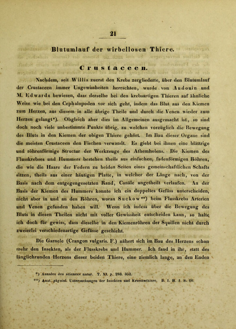 Blutumlauf der wirbellosen Thiere. € r 11 s t a c e e 11. Nachdem, seit Willis zuerst den Krebs zergliederte, über den Blutumlauf der Crustaceen immer Ungewissheiten herrschten, wurde von Audouin und M. Edwards bewiesen, dass derselbe bei den krebsartigen Thieren auf ähnliche Weise w'ie bei den Cephalopoden vor sich geht, indem das Blut aus den Kiemen zum Herzen, aus diesem in alle übrige Theile und durch die Venen wieder zum Herzen gelangt’*'). Obgleich aber dies im Allgemeinen ausgemacht ist, so sind doch noch viele unbestimmte Punkte übrig, zu welchen vorzüglich die Bewegung des Bluts in den Kiemen der obigen Thiere gehört. Im Bau dieser Organe sind die meisten Crustaceen den Fischen verwandt. Es giebt bei ihnen eine blättrige und röhrenförmige Structur der Werkzeuge des Athemholens. Die Kiemen des Flusskrebses und Hummers bestehen theils aus einfachen, fadenförmigen Röhren, die W'ie die Haare der Federn zu beiden Seiten eines gemeinschaftlichen Schafts sitzen, theils aus einer häutigen Platte, in w'elcher der Länge nach, von der Basis nach dem entgegengesetzten Rand, Canäle ungetheilt verlaufen. An der Basis der Kiemen des Hummers konnte ich ein doppeltes Gefäss unterscheiden, nicht aber in und an den Röhren, woran Suckow**) beim Flusskrebs Arterien und Venen gefunden haben will. Wenn ich indess über die Bewegung des Bluts in diesen Theilen nicht mit voller Gewissheit entscheiden kann, so haltQ ich doch für gewiss, dass dieselbe in den Kiemenröhren der Squillen nicht durch zweierlei verschiedenartige Gefässe geschieht. Die Garnele (Crangon vulgaris. F.) nähert sich im Bau des Herzens schon mehr den Insekten, als der Flusskrebs und Hummer. Ich fand in ihr, statt des länglichrunden Herzens dieser beiden Thiere, eine ziemlich lange, an den Enden *) Aunales des Sciences uatur. T. XI. p. 283. 352. Aiiat. physiol. Untersuchungen der Insekten und Kriist^nthiere. B. 1. H. 1. S. 6Ö.