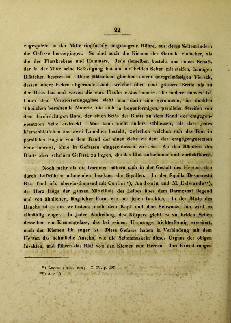 zugespitzte, in der Mitte ringförmig uingebogene Röhre, aus deren Seitenrändern die Gefässe hervorgingen. So sind auch die Kiemen der Garnele einfacher, als die des Flusskrebses und Hummers. Jede derselben besteht aus einem Schaft, der in der Mitte seine Befestigung hat und auf beiden Seiten mit steifen, häutigen Blättchen besetzt ist. Diese Blättchen gleichen einem unregelmässigen Viereck, dessen obere Ecken abgerundet sind, welches oben eine grössere Breite als an der Basis hat und wovon die eine Fläche etwas concav, die andere convex ist. Unter dem Vergrösserungsglase sieht man darin eine geronnene, aus dunklen Theilchen bestehende Materie, die sich in bogenförmigen, parallelen Streifen von dem durchsichtigen Rand der einen Seite des Blatts zu dem Rand der entgegen- gesetzten Seite erstreckt. Man kann nicht anders schliessen, als dass jedes Kiemenblättchen aus zwei Lamellen besteht, zwischen welchen sich das Blut in parallelen Bogen von dem Rand der einen Seite zu dem der entgegengesetzten Seite bewegt, ohne in Gefässen eingeschlossen zu sein. An den Rändern des Blatts aber scheinen Gefässe zu liegen, die das Blut aufnehmen und zurückführen. Noch mehr als die Garnelen nähern sich in der Gestalt des Herzens den durch Luftröhren athmenden Insekten die Squillen. In der Squilla Desmarestii Riss, fand ich, übereinstimmend mit Cu vier *), Audouin und M. Edwards**), das Herz längs der ganzen Mittellinie des Leibes über dem Darmcanal liegend und von ähnlicher, länglicher Form wie bei jenen Insekten. In der Mitte des Bauchs ist es am weitesten; nach dem Kopf und dem Schwänze hin wird es allmählig enger. In jeder Abtheilung des Körpers giebt es zu beiden Seiten desselben ein Kiemengeläss, das bei seinem Ursprünge trichterförmig erweitert, nach den Kiemen hin enger ist. Diese Gefässe haben in Verbindung mit dem Herzen das nehmliche Ansehn, wie die Seitenmuskeln dieses Organs der obigen Insekten, und führen das Blut von den Kiemen zum Herzen. Ihre Erweiterungen Le9ons d’.^oat. comp. T. IV. p. 407. A. a. 0.