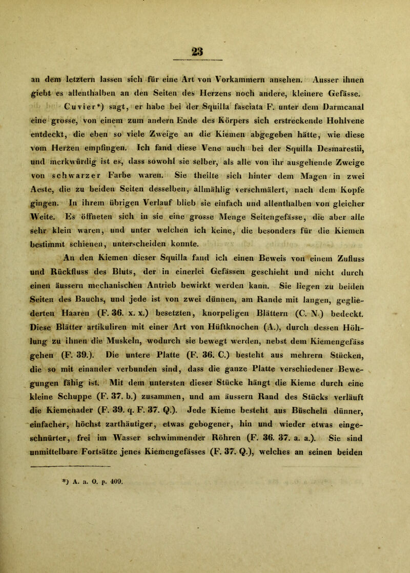 an dem letztem lassen sich für eine Art von Vorkammern ansehen. Ausser ihnen giebt es allenthalben an den Seiten des Herzens noch andere, kleinere Gefässe. Cu vier*) sagt, er habe bei der Squilla fasciata F\ unter dem Darmcanal eine grosse, von einem zum andern Ende des Körpers sich erstreckende Hohlvene entdeckt, die eben so viele Zweige an die Kiemen abgegeben hätte, wie diese vom Herzen empfingen. Ich fand diese Vene auch bei der Squilla Desmarestii, und merkwürdig ist es, dass sowohl sie selber, als alle von ihr ausgehende Zweige von schwarzer F'arbe waren. Sie theilte sich hinter dem Magen in zwei Aeste, die zu beiden Seiten desselben, allinählig verschmälert, nach dem Kopfe gingen. In ihrem übrigen Verlauf blieb sie einfach und allenthalben von gleicher Weite. Es öffneten sich in sie eine grosse Menge Seitengefässe, die aber alle sehr klein waren, und unter welchen ich keine, die besonders für die Kiemen bestimmt schienen, unterscheiden konnte. An den Kiemen dieser Squilla fand ich einen Beweis von einem Zufluss und Rückfluss des Bluts, der in einerlei Gefässen geschieht und nicht durch einen äussern mechanischen Antrieb bewirkt werden kann. Sie liegen zu beiden Seiten des Bauchs, und jede ist von zwei dünnen, am Rande mit langen, geglie- derten Haaren (F. 36. x. x.) besetzten, knorpeligen Blättern (C. N) bedeckt. Diese Blätter artikuliren mit einer Art von Hüftknochen (A.), durch dessen Höh- lung zu ihnen die Muskeln, w'odurch sie bew^egt w^erden, nebst dem Kiemengefäss gehen (F. 39.). Die untere Platte (F\ 36. C.) besteht aus mehrern Stücken, die so mit einander verbunden sind, dass die ganze Platte verschiedener Bewe- gungen fähig ist. Mit dem untersten dieser Stücke hängt die Kieme durch eine kleine Schuppe (F. 37. b.) zusammen, und am äussern Rand des Stücks verläuft die Kiemenader (F. 39. q. F. 37. Q.). Jede Kieme besteht aus Büscheln dünner, einfacher, höchst zarthäutiger, etwas gebogener, hin und wieder etwas einge- Bchnürter, frei im Wasser schwimmender Röhren (F. 36. 37. a. a.). Sie sind unmittelbare Fortsätze jenes Kieraengefässes (F. 37. Q.), welches an seinen beiden A. a. 0. p. 409.