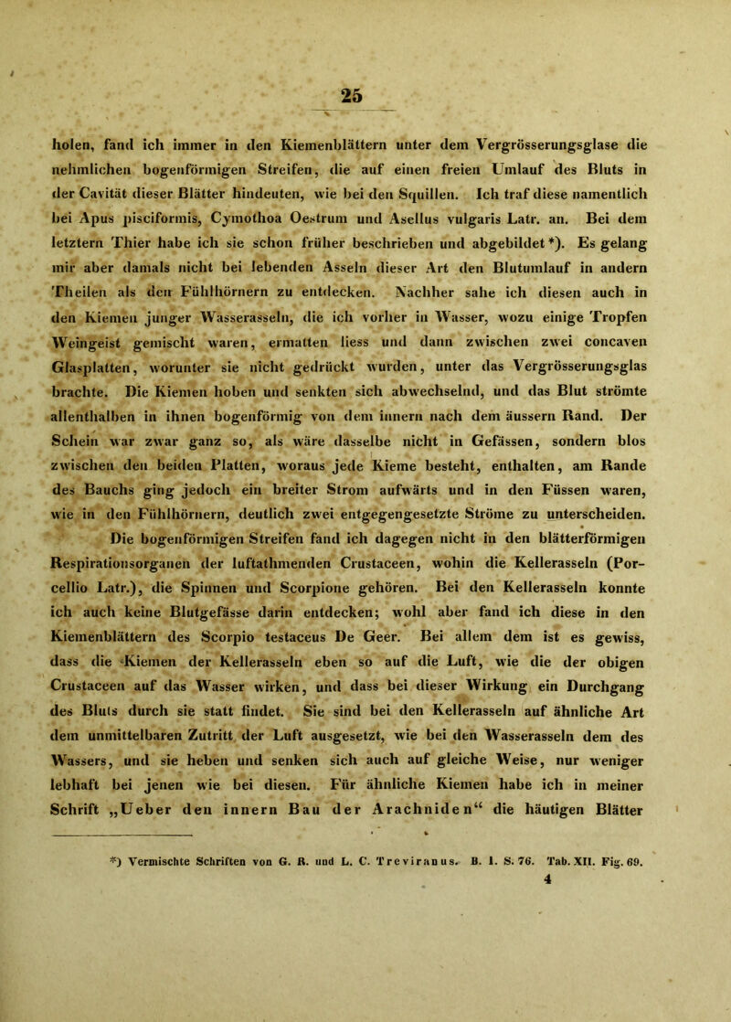 holen, fand ich immer in den Kiemenblättern unter dem Vergrösserungsglase die nelimlichen bogenförmigen Streifen, die auf einen freien Umlauf des Bluts in <ler Cavität dieser Blätter hindeuten, wie bei den Squillen. Ich traf diese namentlich bei Apus pisciformis, Cymothoa Oestrum und Asellus vulgaris Latr. an. Bei dem letztem Thier habe ich sie schon früher beschrieben und abgebildet*). Es gelang mir aber damals nicht bei lebenden Asseln dieser Art den Blutumlauf in andern Theilen als den Fühlhörnern zu entdecken. Nachher sähe ich diesen auch in den Kiemen junger Wasserasseln, die ich vorher in Wasser, wozu einige Tropfen Weingeist gemischt waren, ermatten Hess und dann zwischen zwei concaven Glasplatten, worunter sie nicht gedrückt wurden, unter das Vergrösserungsglas brachte. Die Kiemen hoben und senkten sich abwechselnd, und das Blut strömte allenthalben in ihnen bogenförmig von dem innern nach dem äussern Rand. Der Schein war zwar ganz so, als wäre dasselbe nicht in Gefässen, sondern blos I zwischen den beiden Platten, woraus jede Kieme besteht, enthalten, am Rande des Bauchs ging jedoch ein breiter Strom aufwärts und in den Füssen waren, wie in den Fühlhörnern, deutlich zw^ei entgegengesetzte Ströme zu unterscheiden. Die bogenförmigen Streifen fand ich dagegen nicht in den blätterförmigen Respirationsorganen der luftathmenden Crustaceen, wohin die Kellerasseln (Por- cellio Latr.), die Spinnen und Scorpione gehören. Bei den Kellerasseln konnte ich auch keine Blutgefässe darin entdecken; wohl aber fand ich diese in den Kiemenblättern des Scorpio testaceus De Geer. Bei allem dem ist es gewiss, dass die -Kiemen der Kellerasseln eben so auf die Luft, wie die der obigen Crustaceen auf das Wasser wirken, und dass bei dieser Wirkung ein Durchgang des Bluts durch sie statt findet. Sie sind bei den Kellerasseln auf ähnliche Art dem unmittelbaren Zutritt der Luft ausgesetzt, wie bei den Wasserasseln dem des Wassers, und sie heben und senken sich auch auf gleiche Weise, nur weniger lebhaft bei jenen wie bei diesen. E'ür ähnliche Kiemen habe ich in meiner Schrift „Ueber den innern Bau der Arachniden“ die häutigen Blätter Vermischte Schriften von 6. R. und L. C. Treviranus. B. 1. S. 76. Tab. XII. Fig. 69. 4