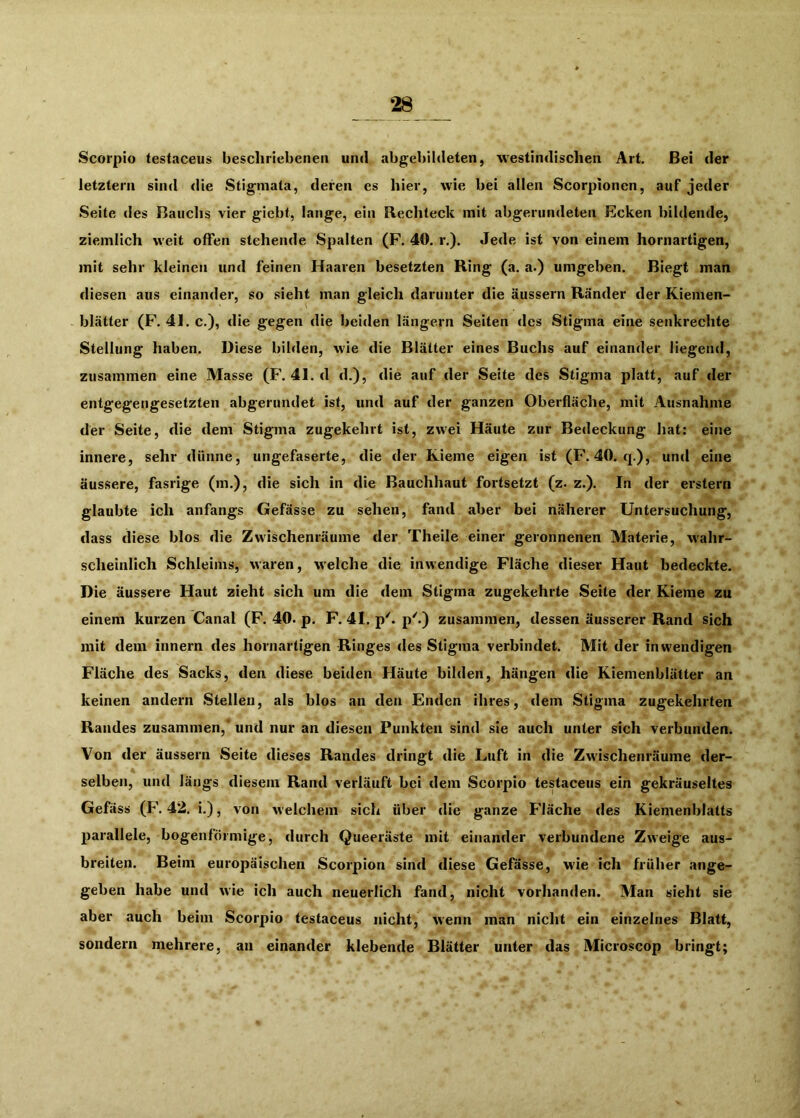 Scorpio testaceus beschriebenen und abgebibleten, westindischen Art. Bei der letztem sind die Stigmata, deren es hier, wie bei allen Scorpionen, auf jeder Seite des Bauchs vier giebt, lange, ein Rechteck mit abgerundeten Ecken bildende, ziemlich weit offen stehende Spalten (F. 40. r.). Jede ist von einem hornartigen, mit sehr kleinen und feinen Haaren besetzten Ring (a. a.) umgeben. Biegt man diesen aus einander, so sieht man gleich darunter die äussern Ränder der Kiemen- blätter (F. 41. c.), die gegen die beiden längern Seiten des Stigma eine senkrechte Stellung haben. Diese bilden, wie die Blätter eines Buchs auf einander liegend, zusammen eine Masse (F. 41. d d.), die auf der Seite des Stigma platt, auf der entgegengesetzten abgerundet ist, und auf der ganzen Oberfläche, mit Ausnahme der Seite, die dem Stigma zugekehrt ist, zwei Häute zur Bedeckung hat: eine innere, sehr dünne, ungefaserte, die der Kieme eigen ist (F. 40. q.), und eine äussere, fasrige (m.), die sich in die Bauchhaut fortsetzt (z. z.). In der erstem glaubte ich anfangs Gefässe zu sehen, fand aber bei näherer Untersuchung, dass diese blos die Zwischenräume der Theile einer geronnenen Materie, wahr- scheinlich Schleims, waren, welche die inwendige Fläche dieser Haut bedeckte. Die äussere Haut zieht sich um die dem Stigma zugekehrte Seite der Kieme zu einem kurzen Canal (F. 40. p. F. 41. p'. p'.) zusammen, dessen äusserer Rand sich mit dem innern des hornartigen Ringes des Stigma verbindet. Mit der inwendigen Fläche des Sacks, den diese beiden Häute bilden, hängen die Kiemenblätter an keinen andern Stellen, als blos an den Enden ihres, dem Stigma zugekehrten Randes zusammen, und nur an diesen Punkten sind sie auch unter sich verbunden. Von der äussern Seite dieses Randes dringt die Luft in die Zwischenräume der- selben, und längs diesem Rand verläuft bei dem Scorpio testaceus ein gekräuseltes Gefäss (F\ 42. i.), von welchem sich über die ganze Fläche des Kiemenblatts parallele, bogenförmige, durch Queeräste mit einander verbundene Zweige aus- breiten. Beim europäischen Scorpion sind diese Gefässe, wie ich früher ange- geben habe und wie ich auch neuerlich fand, nicht vorhanden. Man sieht sie aber auch beim Scorpio testaceus incht, wenn man nicht ein einzelnes Blatt, sondern mehrere, an einander klebende Blätter unter das Microscop bringt;