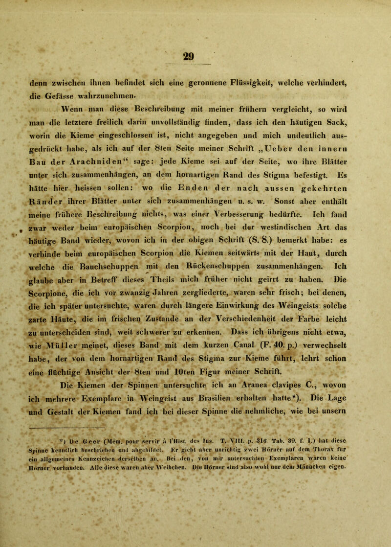 denn zwischen ihnen beßndet sich eine geronnene Flüssigkeit, welche verhindert, die Gefässe wahrzunehmen. Wenn man diese Beschreibung mit meiner frühem vergleicht, so wird man die letztere freilich darin unvollständig finden, dass ich den häutigen Sack, worin die Kieme eingeschlossen ist, nicht angegeben und mich undeutlich aus- gedrückt habe, als ich auf der 8len Seite meiner Schrift „Ueber den innern Bau der Arachniden“ sage: jede Kieme sei auf der Seite, wo ihre Blätter unter sich Zusammenhängen, an dem hornartigen Rand des Stigma befestigt. Es hätte hier heissen sollen: wo die Enden der nach aussen gekehrten Ränder ihrer Blätter unter sich Zusammenhängen u. s. w. Sonst aber enthält meine frühere Beschreibung nichts, was einer Verbesserung bedürfte. Ich fand , zwar weder beim europäischen Scorpion, noch bei der westindischen Art das häutige Band wieder, wovon ich in der obigen Schrift (S. 8.) bemerkt habe: es verbinde beim europäischen Scorpion die Kiemen seitwärts mit der Haut, durch welche die Bauchschuppen mit den Rückenschuppen Zusammenhängen. Ich glaube aber in Betreff dieses Theils mich früher nicht geirrt zu haben. Die Scorpione, die ich vor zwanzig Jahren zergliederte, waren sehr frisch; bei denen, die ich später untersuchte, waren durch längere Einwirkung des Weingeists solche zarte Häute, die im frischen Zustande an der Verschiedenheit der Farbe leicht zu unterscheiden sind, weit schwerer zu erkennen. Dass ich übrigens nicht etwa, wie Müller meinet, dieses Ban<l mit dem kurzen Canal (F. 40. p.) verwechselt habe, der von dem hornartigen Rand des Stigma zur Kieme führt, lehrt schon eine flüchtige Ansicht der 8ten und lOten Figur meiner Schrift. Die Kiemen der Spinnen untersuchte ich an Aranea clavipes C., w'ovon ich mehrere Exemplare in Weingeist aus Brasilien erhalten hatte*). Die Lage und Gestalt der Kiemen fand ich bei dieser Spinne die nehmliche, wie bei unsern Ue G-eer (Meni. poiir servir ä l’Hist. des Ins. T. VIII. p. 316 Tab. 39. f. 1.) hat diese Spinne kenntlich beschrieben und abgebildet. Er giebt aber unrichtig zwei Hörner auf dem Thorax für ein allgemeines Kennzeichen derselben an. Bei den, von mir untersuchten E.xemplaren waren keine Hörner vorhanden. Alle diese w.aren aber Weibchen. Die Hörner sind also wohl nur dem Mänücheu eigen.