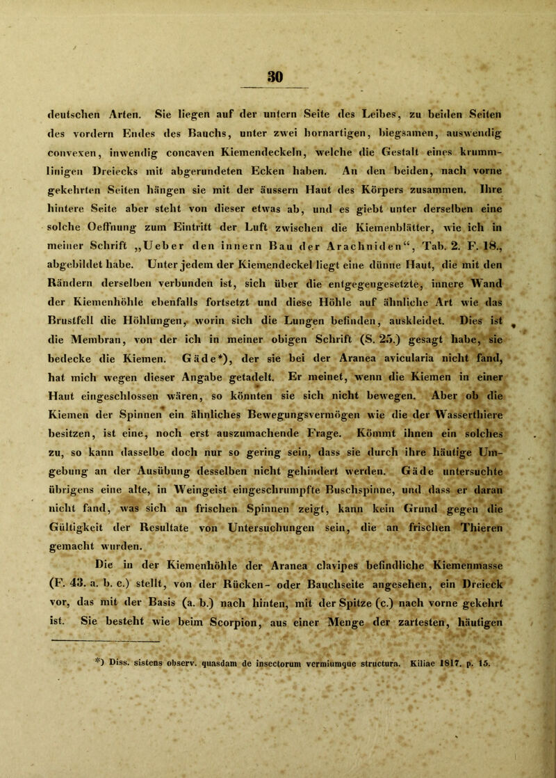 deutschen Arten. Sie liegen auf der untern Seite des Leibes, zu beiden Seiten des vordem Endes des Bauchs, unter zwei bornartigen, biegsamen, auswendig convexen, inwendig concaven Kiemendeckeln, welche die Gestalt eines krumm- linigen Dreiecks mit abgerundeten Ecken haben. An den beiden, nach vorne gekehrten Seiten hängen sie mit der äussern Haut des Körpers zusammen. Ihre hintere Seite aber steht von dieser etwas ab, und es giebt unter derselben eine solche OefFnung zum Eintritt der Luft zwischen die Kiemenblätter, wie ich in meiner Schrift „Ueber den innern Bau der Arachniden“, Tab. 2. F. 18., abgebildet habe. Unter jedem der Kiemendeckel liegt eine dünne Haut, die mit den Rändern derselben verbunden ist, sich über die entgegengesetzte, innere Wand der Kiemenhöhle ebenfalls fortsetzt und diese Höhle auf ähnliche Art wie das Brustfell die Höhlungen,* w'orin sich die Lungen befinden, auskleidet. Dies ist ^ die Membran, von der ich in meiner obigen Schrift (S. 25.) gesagt habe, sie bedecke die Kiemen. Gäde*), der sie bei der Aranea avicularia nicht fand, hat mich wegen dieser Angabe getadelt. Er meinet, wenn die Kiemen in einer Haut eitigeschlossen wären, so könnten sie sich nicht bewegen. Aber ob die Kiemen der Spinnen ein ähnliches Bewegungsvermögen wie die der Wasserthiere besitzen, ist eine, noch erst auszumachende Frage. Kömmt ihnen ein solches zu, so kann dasselbe doch nur so gering sein, dass sie durch ihre häutige Um- gebung an der Ausübung desselben nicht gehindert werden. Gäde untersuchte übrigens eine alte, in Weingeist eingeschrumpfte Buschspinne, und dass er daran nicht fand, w'as sich an frischen Spinnen zeigt, kann kein Grund gegen die Gültigkeit der Resultate von Untersuchungen sein, die an frischen Thieren gemacht wurden. Die in der Kiemenhöhle der Aranea clavipes befindliche Kiemenmasse (F. 43. a. b. c.) stellt, von der Rücken- oder Bauchseite angesehen, ein Dreieck vor, das mit der Basis (a. b.) nach hinten, mit der Spitze (c.) nach vorne gekehrt ist. Sie besteht wie beim Scorpion, aus einer Menge der zartesten, häutigen *) Diss. sistens observ. qiiasdam de insectorum vermiumque structura. Kiliae 1817. p. 15.