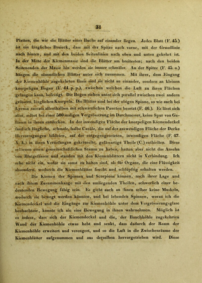 Platten, die wie die Blätter eines Buchs auf einander liegen. Jedes Blatt (F. 45.) ist ein längliches Dreieck, dass mit der Spitze nach vorne, mit der Grundlinie nach hinten, und mit den beiden Seitenlinien nach oben und unten gekehrt ist. In der Mitte der Kiemenmasse sind die Blätter am breitesten; nach den beiden Seitenenden der Masse hin werden sie immer schmäler. An der Spitze (F. 45. o.) hängen die sämmtlichen Blätter unter sich zusammen. Mit ihrer, dem Eingang der Riemenhöhle zugekehrten Basis sind sie nicht an einander, sondern an kleinen knorpeligen Bogen (F. 44. p. p.), zwischen welchen die Luft zu ihren Flächen gelangen kann, befestigt. Die Bogen stehen unter sich parallel zwischen zwei andern grossem, länglichen Knorpeln. Die Blätter sind bei der obigen Spinne, so wie auch bei Lj'cosa saccata allenthalben mit schwärzlichen Puncten besetzt (F. 40.). Es lässt sich aber, selbst bei einer 500 maligen Vergrösserung im Durchmesser, keine Spur von Ge- fässen in ihnen entdecken. In der inwendigen Fläche der knorpeligen Kiemendeckel fand ich längliche, schmale, halbe Canäle, die auf der auswendigen Fläche der Decke Hcrvorragungen bildeten, auf der entgegengesetzten, inwendigen Fläche (F. 47. A. A.) in ihren Vertiefungen gekräuselte, gefässartige Theile (C.) enthielten. Diese schienen einen gemeinschaftlichen Stamm zu haben, hatten aber nicht das Ansehn von Blutgefässen und standen mit den Kiemenblättern nicht in Verbindung. Ich sehe nicht ein, wofür sie sonst zu halten sind, als für Organe, die eine Flüssigkeit absondern, wodurch die Kiemenblätter feucht und schlüpfrig erhalten werden. Die Kiemen der Spinnen und Scorpione können, nach ihrer Lage und nach ihrem Zusammenhänge mit den umliegenden Theilen, schwerlich einer be- deutenden Bewegung fähig sein. Es giebt auch an ihnen selber keine Muskeln, wodurch sie bewegt werden könnten, und bei lebenden Spinnen, woran ich die Kiemendeckel und die Eingänge zur Kiemenhöhle unter dem Vergrösserungsglase beobachtete, konnte ich nie eine Bewegung in ihnen wahrnehmen. Möglich ist es indess, dass sich der Kiemendeckel und die, der Bauchhöhle zugekehrten Wand der Kiemenhöhle etwas hebt und senkt, dass dadurch der Raum der Kiemenhöhle erweitert und verengert, und so die Luft in die Zwischenräume der Kiemenblätter aufgenommen und aus derselben hervorgetrieben M'ird. Diese