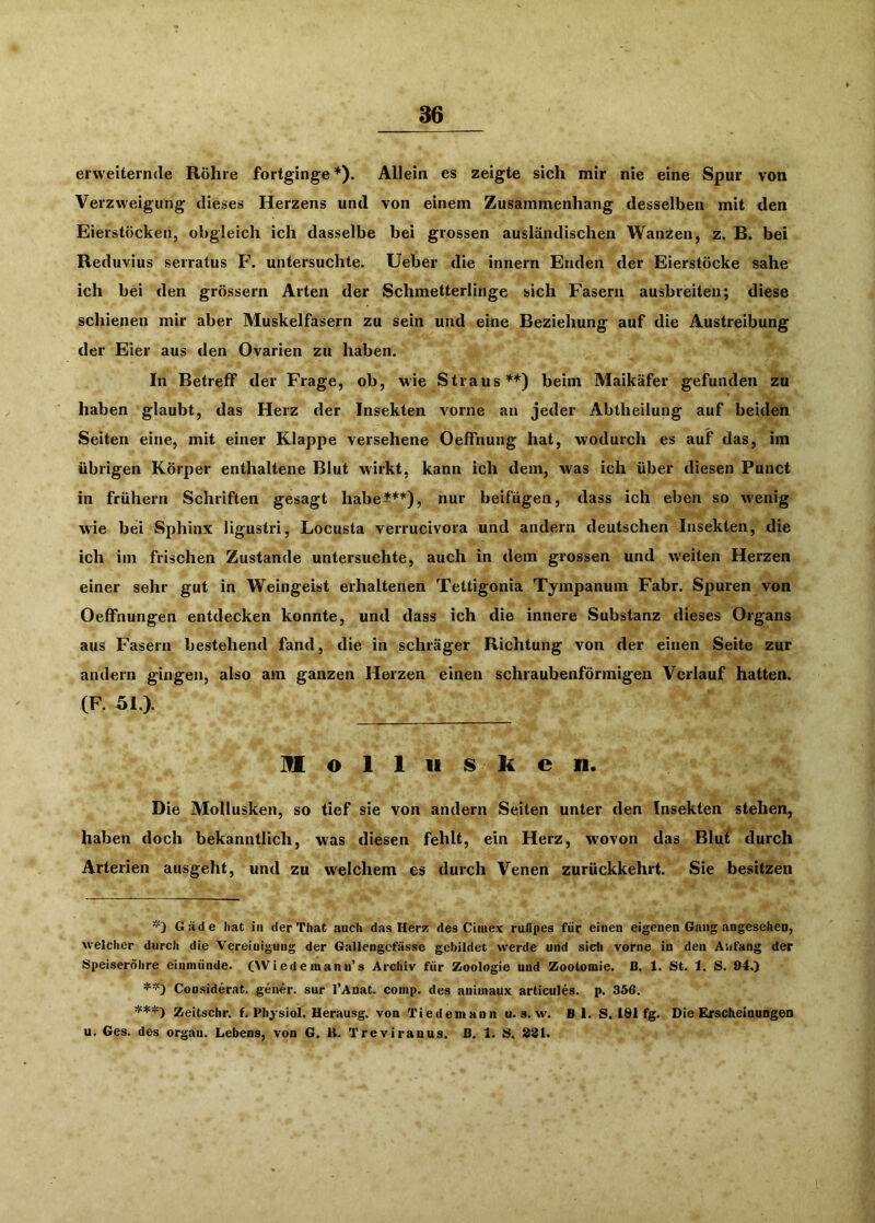 erweiternde Röhre fortginge*). Allein es zeigte sich mir nie eine Spur von Verzweigung dieses Herzens und von einem Zusammenhang desselben mit den Eierstöcken, obgleich ich dasselbe bei grossen ausländischen Wanzen, z. B. bei Reduvius serratus F. untersuchte. Ueber die innern Enden der Eierstöcke sähe ich bei den grössern Arten der Schmetterlinge sich Fasern ausbreiten; diese schienen mir aber Muskelfasern zu sein und eine Beziehung auf die Austreibung der Eier aus den Ovarien zu haben. In Betreff der Frage, ob, wie Straus**) beim Maikäfer gefunden zu haben glaubt, das Herz der Insekten vorne an jeder Abtheilung auf beiden Seiten eine, mit einer Klappe versehene OefFnung hat, wodurch es auf das, im übrigen Körper enthaltene Blut wirkt, kann ich dem, was ich über diesen Punct in frühem Schriften gesagt habeJ**), nur beifügen, dass ich eben so wenig wie bei Sphinx ligustri, Locusta verrucivora und andern deutschen Insekten, die ich im frischen Zustande untersuchte, auch in dem grossen und weiten Herzen einer sehr gut in Weingeist erhaltenen Tettigonia Tympanum Fahr. Spuren von Oeffnungen entdecken konnte, und dass ich die innere Substanz dieses Organs aus Fasern bestehend fand, die in schräger Richtung von der einen Seite zur andern gingen, also am ganzen Herzen einen schraubenförmigen Verlauf hatten. (F. 51,). Holliisken. Die Mollusken, so tief sie von andern Seiten unter den Insekten stehen, haben doch bekanntlich, was diesen fehlt, ein Herz, wovon das Blut durch Arterien ausgeht, und zu welchem es durch Venen zurückkehrt. Sie besitzen G äde hat in derThat auch das Her^ des Ciiuex ruflpes für einen eigenen Gang angeselieu, welcher durch die Vereinigung der Gallengcfässe gebildet werde und sich vorne in den Anfang der Speiseröhre einmünde. (Wiedemann’s Archiv für Zoologie und Zoolomie. B. 1. St. 1. S. 84.) Considerat. gener. sur l’Anat. comp, des animaux articules. p. 356. '''**) Zeitschr. f. Pliysiol. Herausg. von Tiedemaun u. s. w. fi 1. S. 181 fg. Die EIrscheinungen u. Ges. des orgau. Lebens, von G. K. Treviranus. B. 1. S. 831.