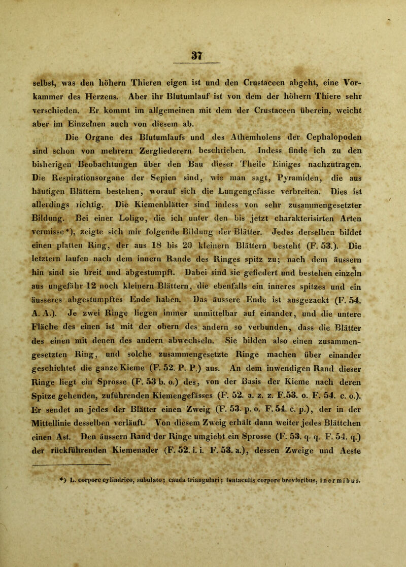 3T selbst, was den hohem Thieren eigen ist und den Crustaceen abgeht, eine Vor- kammer des Herzens. Aber ihr Blutumlauf ist von dem der höhern Thiere sehr verschieden. Er kommt im allgemeinen mit dem der Crustaceen überein, weicht aber im Einzelnen auch von diesem ab. Die Organe des Blutumlaufs und des Athemholens der Cephalopoden sind schon von mehrern Zergliederern beschrieben. Indess finde ich zu den bisherigen Beobachtungen über den Bau dieser Theile Einiges nachzutragen. Die Respirationsorgane der Sepien sind, wie man sagt, Pyramiden, die aus häutigen Blättern bestehen, worauf sich die Lungengefässe verbreiten. Dies ist allerdings richtig. Die Kiemenblätter sind indess von sehr zusammengesetzter Bildung. Bei einer Loligo, die ich unter den bis jetzt charakterisirten Arten vermisse*), zeigte sich mir folgende Bildung der Blätter. Jedes derselben bildet einen platten Ring, der aus 18 bis 20 kleinern Blättern besteht (F. 53.). Die letztem laufen nach dem innern Rande des Ringes spitz zu; nach dem äussern hin sind sie breit und abgestumpft. Dabei sind sie gefiedert und bestehen einzeln aus ungefähr 12 noch kleinern Blättern, die ebenfalls ein inneres spitzes und ein äusseres abgestumpftes Ende haben. Das äussere Ende ist ausgezackt (F. 54. A. A.). Je zwei Ringe liegen immer unmittelbar auf einander, und die untere Fläche des einen ist mit der obern des andern so verbunden, dass die Blätter des einen mit denen des andern abwechseln. Sie bilden also einen zusammen- gesetzten Ring, und solche zusammengesetzte Ringe machen über einander geschichtet die ganze Kieme (F. 52, P. P.) aus. An dem inwendigen Rand dieser Ringe liegt ein Sprosse (F. 53 b. o.) des, von der Basis der Kieme nach deren Spitze gehenden, zuführenden Kiemengefässes (F. 52. a. z. z. F.53. o. F. 54. c, o.). Er sendet an jedes der Blätter einen Zweig (F. 53. p. o. F. 54. c. p.), der in der Mittellinie desselben verläuft. Von diesem Zweig erhält dann weiter jedes Blättchen einen Ast. Den äussern Rand der Ringe umgiebt ein Sprosse (F. 53. q. q. F. 54. q.) der rückführenden Kiemenader (F, 52. i. i. F. 53. a.), dessen Zweige und Aeste ♦) L. corporecjliiidrieo, subulato5 caudii triaugalari; teataculis corpore brevioribus, iaermibus.