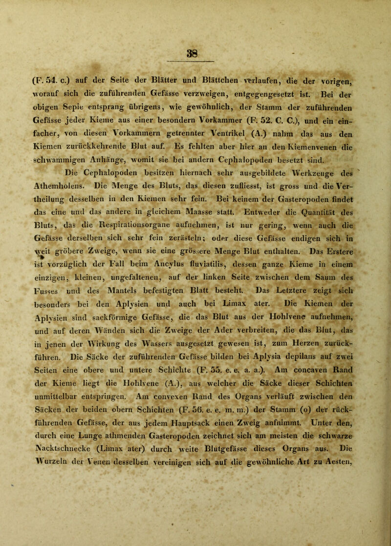 3S (F. 54. c.) auf der Seite der Blätter und Blättchen verlaufen, die der Vorigen, worauf sich die zuführenden Gefässe verzweigen, entgegengesetzt ist. Bei der obigen Sepie entsprang übrigens, wie gewöhnlich, der Stamm der zuführenden Gefässe jeder Kieme aus einer besondern Vorkammer (F. 52. C. C.), und ein ein- facher, von diesen Vorkammern getrennter Ventrikel (A.) nahm das aus den Kiemen zurückkehrende Blut auf. Es fehlten aber hier an den Kiemenvenen die schwammigen Anhänge, womit sie bei andern Cephalopoden besetzt sind. Die Cephalopoden besitzen hiernach sehr ausgebildete Werkzeuge des Athemholens. Die Menge des Bluts, das diesen zufliesst, ist gross und die Ver- theilung desselben in den Kiemen sehr fein. Bei keinem der Gasteropoden ßndet das eine und das andere in gleichem Maasse statt. Entweder die Quantität des Bluts, das die Respiratioiisorgane aufiiehmen, ist nur gering, wenn auch die Gefässe derselben sich sehr fein zerästeln; oder diese Gefässe endigen sich in \\eit gröbere Zweige, wenn sie eine grössere Menge Blut enthalten. Das Erstere ist vorzüglich der Fall beim Ancylus fluviatilis, dessen ganze Kieme in einem einzigen, kleinen, ungefaltenen, auf der linken Seite zwischen dem Saum des Fusses und des Mantels befestigten Blatt besteht. Das Letztere zeigt sich besonders bei den Aplysien und auch bei Limax ater. Die Kiemen der Aplysien sind sackförmige Gefässe, die das Blut aus der Hohlvene aufnehmen, und auf deren Wänden sich die Zweige der Ader verbreiten, die das Blut, das in jenen der Wirkung des Wasser.s ausgesetzt gewesen ist, zum Herzen zurück- führen. Die Säcke der zuführenden Gefässe bilden bei Aplysia depilans auf zwei Seiten eine obere und untere Schichte (F. 55. e. e. a. a.). Am concaven Rand der Kieme liegt die Hohlvene (A.), aus welcher die Säcke dieser Schichten unmittelbar entspringen. Am convexen Rand des Organs verläuft zwischen den Säcken der beiden obern Schichten (F. 56. e. e. m. m.) der Stamm (o) der rück- führenden Gefässe, der aus jedem Hauptsack einen Zweig anfnimmt. Unter den, durch eine Lunge athmenden Gasteropoden zeichnet sich am meisten die schwarze Nacktschnecke (Limax ater) durch weite Blutgefässe dieses Organs aus. Die W^urzeln der Venen desselben vereinigen sich auf die gewöhnliche Art zu Aesten,