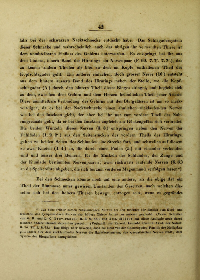 falls bei der schwarzen Nacktschnecke entdeckt habe. Das Schlagadersystem dieser Schnecke und wahrscheinlich auch der übrigen ihr verwaiidten Thiere ist dem unmittelbaren Einfluss des Gehirns unterworfen. Es entspringt bei ihr aus dem hintern, innern Rand des Hirnrings ein Nervenpaar (F. 60. 7.7. 7'.), das zu keinen andern Theilen als blos zu dem im Kopfe enthaltenen Theil der Kopfschlagader geht. Ein anderer einfacher, doch grosser Nerve (10.) entsteht aus dem hintern äussern Rand des Hirnrings neben der Stelle, wo die Kopf- schlagader (A.) durch den hintern Theil dieses Ringes dringet, und begiebt sich zu dem, zwischen dem Gehirn und dem Herzen befindlichen Theil jener Arterie. Diese unmittelbare Verbindung des Gehirns mit den Blutgefässen ist um so merk- würdiger, da es bei der Nacktschnecke einen ähnlichen rücklaufenden Nerven wie bei den Insekten giebt, der aber bei ihr nur zum vordem Theil des Nah- rungscaiials geht, da er bei den Insekten zugleich am Rückengefäss sich verbreitet. Die beiden Wurzeln dieses Nerven (3. 3.) entspringen neben den Nerven der Fühlfäden (1. 2. 2'.) aus den Seitenstücken des vordem Theils des Hirnrings, gehen zu beiden Seiten des Schlundes eine Strecke fort, und schwellen auf diesem zu zwei Knoten (4. 4.) an, die durch einen Faden (5.) mit einander verbunden sind und ausser drei kleinern, für die Muskeln des Schlundes, der Zunge und der Kinnlade bestimmten Nervenpaaren, zwei rückwärts laufende Nerven (6. 6.) an die Speiseröhre abgeben, die sich bis zum vorderen Magenmund verfolgen lassen’^). Bei den Schnecken könnte noch auf eine andere, als die obige Art ein Theil der Blutmasse unter gewissen Umständen den Gesetzen, nach welchen die- selbe sich bei den höhern Thieren bewegt, entzogen sein, wenn es gegründet ^3 Ich habe früher diesen rücklaufeuden A’erveu bei den Insekten für ähnlich dem Kopf- und Ualstheil des sympathischen Nerven der liöhern Thiere halten zu müssen geglaubt, (Verm. Schriften von G. R. und L. C. Treviranus. B. 3. S. 58.) und Joh. Müller hat diese Analogie noch durch mehrere andere Gründe darzuthun gesucht. (Verhandl. der Kaiserl. Leopold. Carolin. Akad. der Naturf. B. 14. TIr 1. S. 73.) Das Obige aber beweist, dass sie nicht von der Gasteropodeu-Parailie der Mollusken gilt, indem hier dem rücklaufeuden Nerven die Hauptbestimmuug des sympathischen Nerven fehlt, dem System der Blutgefässe anzugehören.