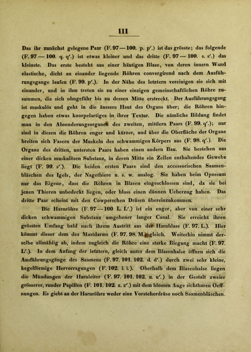 Das ihr zunächst gelegene Paar (F. 97—100. p. p'.) ist das grösste; das folgende (F. 97 — 100. q. q'.) ist etwas kleiner und das dritte (F. 97 — 100. s. s'.) das kleinste. Das erste besteht aus einer häutigen Blase, von deren innern Wand elastische, dicht an einander liegende Röhren convergirend nach dem Ausfüh- rungsgange laufen (F. 99. p^). In der Nähe des letztem vereinigen sie sich mit einander, und in ihm treten sie zu einer einzigen gemeinschaftlichen Röhre zu- sammen, die sich ohngefähr bis zu dessen Mitte erstreckt. Der Ausführungsgang ist muskulös und geht in die äussere Haut des Organs über; die Röhren hin- gegen haben etwas knorpelartiges in ihrer Textur. Die nämliche Bildung findet man in den Absonderungsorganöh des zweiten, mittlern Paars (F. 99. q^); nur sind in diesen die Röhren enger und kürzer, und über die Oberfläche der Organe breiten sich Fasern der Muskeln des schwammigen Körpers aus (F. 98. q'.). Die Organe des dritten, untersten Paars haben einen andern Bau. Sie bestehen aus einer dicken muskulösen Substanz, in deren Mitte ein Zellen enthaltendes Gewebe liegt (F. 99. s^). Die beiden ersten Paare sind den accessorischen Saamen- bläschen des Igels, der Nagethiere u. s. w. analog. Sie haben beim Opossum nur das Eigene, dass die Röhren in Blasen eingeschlossen sind, da sie bei jenen Thieren unbedeckt liegen, oder bloss einen dünnen Ueberzug haben. Das dritte Paar scheint mit den Cowperschen Drüsen übereinzukommen. Die Harnröhre (F. 97 —100 L. L^) ist ein enger, aber von einer sehr dicken schwammigen Substanz umgebener langer Canal. Sie erreicht ihren grössten Umfang bald nach ihrem Austritt aus de’f Harnblase (F. 97. L.). Hier kömmt dieser dem des Mastdarms (F. 97. 98. M.^gleich. Weiterhin nimmt der- selbe allmählig ab, indem zugleich die Röhre eine starke Biegung macht (F. 97. L'.). In dem Anfang der letztem, gleich unter dem Blasenhalse öffnen sich die Ausführungsgänge des Saamens (F. 97. 101. 102. d. d'.) durch zw’ei sehr kleine, kegelförmige Hervorragungen (F. 102. i. i.). Oberhalb dem Blasenhalse liegen die Mündungen der Harnleiter (F. 97. 101.102. u. u') in der Gestalt zweier grösserer, runder Papillen (F. 101. 102. z. z''.) mit dem blossen Auge sichtbaren Oeff- nungen. Es giebt an der Harnröhre weder eine Vorsteherdrüse noch Saamenbläschen.