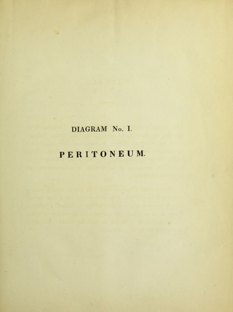 DIAGRAM No. I. PERITONEUM.