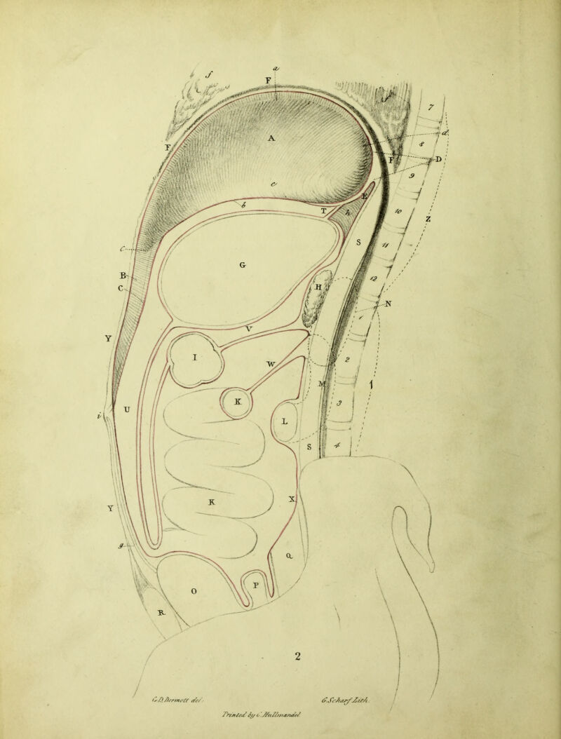 is- /), jOrrmot? afcS. £.Sc7fas'f^Zt?/i. Trintea? St/ o'jffuSlvTtejttSe/