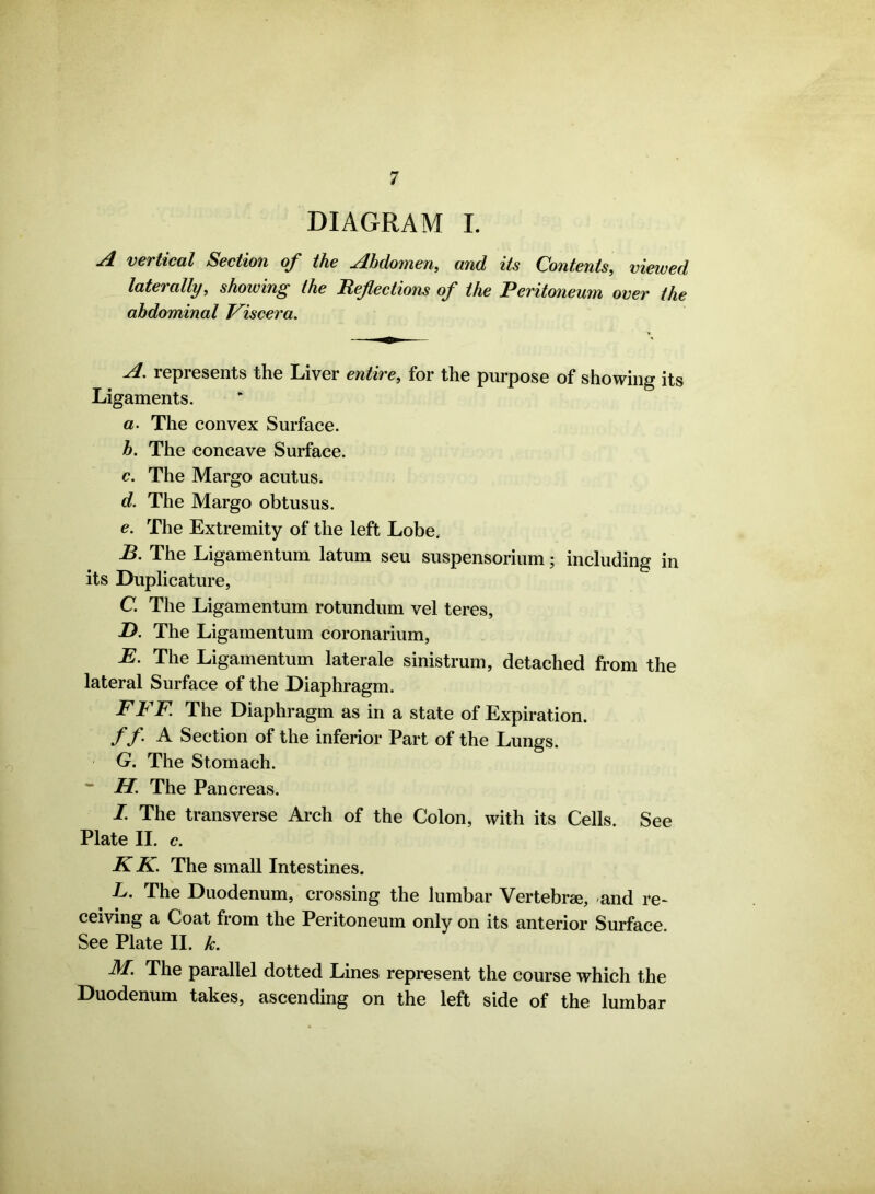 DIAGRAM I. A vertical Section of the Abdomen, and its Contents, viewed laterally, showing the Reflections of the Peritoneum over the abdominal Viscera. A. represents the Liver entire, for the purpose of showing its Ligaments. a. The convex Surface. b. The concave Surface. c. The Margo acutus. d. The Margo obtusus. e. The Extremity of the left Lobe. B. The Ligamentum latum seu suspensorium; including in its Duplicature, C. The Ligamentum rotundum vel teres, D. The Ligamentum coronarium, E. The Ligamentum laterale sinistrum, detached from the lateral Surface of the Diaphragm. FFF. The Diaphragm as in a state of Expiration. //. A Section of the inferior Part of the Lungs. G. The Stomach. “ H. The Pancreas. I. The transverse Arch of the Colon, with its Cells. See Plate II. c. K K. The small Intestines. L. The Duodenum, crossing the lumbar Vertebrae, -and re- ceiving a Coat from the Peritoneum only on its anterior Surface. See Plate II. k. M. The parallel dotted Lines represent the course which the Duodenum takes, ascending on the left side of the lumbar