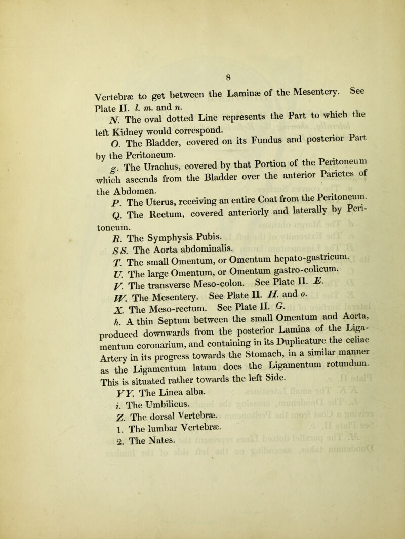 Vertebrae to get between the Laminae of the Mesentery. See Plate II. I m. and n. . N. The oval dotted Line represents the Part to which the left Kidney would correspond. . O. The Bladder, covered on its Fundus and posterior Fart by the Peritoneum. i . p-. The Urachus, covered by that Portion of the Peritoneum which ascends from the Bladder over the anterior Panetes ot the Abdomen. , _ .. P. The Uterus, receiving an entire Coat from the Pentoneu . Q. The Rectum, covered anteriorly and laterally by en toneum. R. The Symphysis Pubis. SS. The Aorta abdominalis. T. The small Omentum, or Omentum hepato-gastncum. V. The large Omentum, or Omentum gastro-colicum. V. The transverse Meso-colon. See Plate II. E. W. The Mesentery. See Plate II. H. and o. X. The Meso-rectum. See Plate II. G. h. A thin Septum between the small Omentum and Aorta, produced downwards from the posterior Lamina of the Liga mentum coronarium, and containing in its Duplicature the celiac Artery in its progress towards the Stomach, in a similar manner as the Ligamentum latum does the Ligamentum rotundum. This is situated rather towards the left Side. YY. The Linea alba. i. The Umbilicus. Z. The dorsal Vertebrae. 1. The lumbar Vertebrae. 2. The Nates.