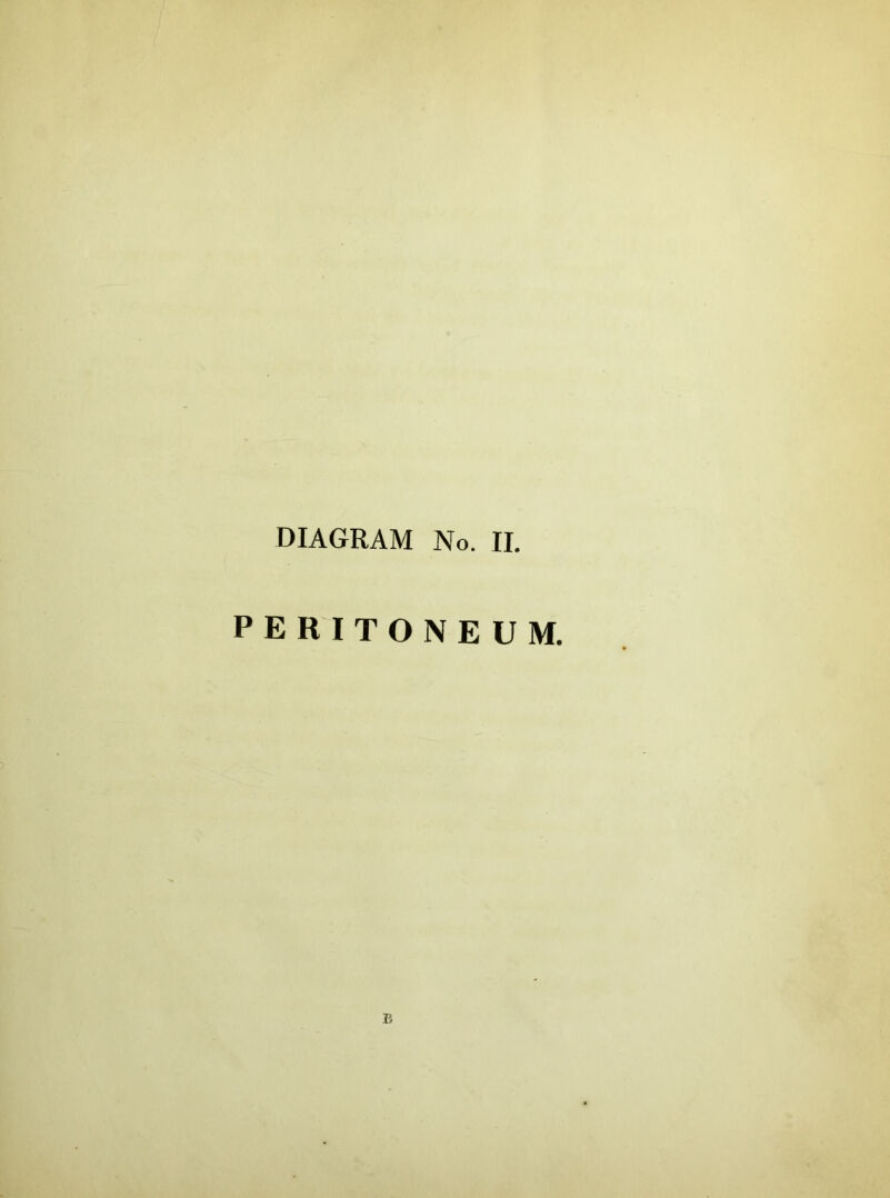DIAGRAM No. II. PERITONEUM. B