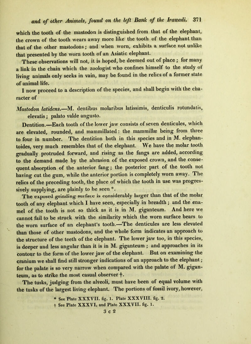 which the tooth of the mastodon is distinguished from that of the elephant, the crown of the tooth wears away more like the tooth of the elephant than that of the other mastodons; and when worn, exhibits a surface not unlike that presented by the worn tooth of an Asiatic elephant. These observations will not, it is hoped, be deemed out of place ; for many a link in the chain which the zoologist who confines himself to the study of living animals only seeks in vain, may be found in the relics of a former state of animal life. I now proceed to a description of the species, and shall begin with the cha- racter of Mastodon latidens.—M. dentibus molaribus latissimis, denticulis rotundatis, elevatis; palato valde angusto. Dentition.—Each tooth ofthe lower jaw consists of seven denticules, which are elevated, rounded, and mammillated: the mammillse being from three to four in number. The dentition both in this species and in M. elephan- toides, very much resembles that of the elephant. We have the molar tooth gradually protruded forward, and rising as the fangs are added, according to the demand made by the abrasion of the exposed crown, and the conse- quent absorption of the anterior fang; the posterior part of the tooth not having cut the gum, while the anterior portion is completely worn away. The relics of the preceding tooth, the place of which the tooth in use was progres- sively supplying, are plainly to be seen The exposed grinding surfcice is considerably larger than that of the molar tooth of any elephant which I have seen, especially in breadth; and the ena- mel of the tooth is not so thick as it is in M. giganteum. And here we cannot fail to be struck with the similarity which the worn surface bears to the worn surface of an elephant’s tooth.—The denticules are less elevated than those of other mastodons, and the whole form indicates an approach to the structure of the teeth of the elephant. The lower jaw too, in this species, is deeper and less angular than it is in M. giganteum ; and approaches in its contour to the form of the lower jaw of the elephant. But on examining the cranium we shall find still stronger indications of an approach to the elephant; for the palate is so very narrow when compared with the palate of M. gigan- teum, as to strike the most casual observer f. The tusks, judging from the alveoli, must have been of equal volume with the tusks of the largest living elephant. The portions of fossil ivory, however, * See Plate XXXVII. fig. 1. Plate XXXVIII. fig. 2. t See Plate XXXVI. and Plate XXXVII. fig. 1. 3 c 2