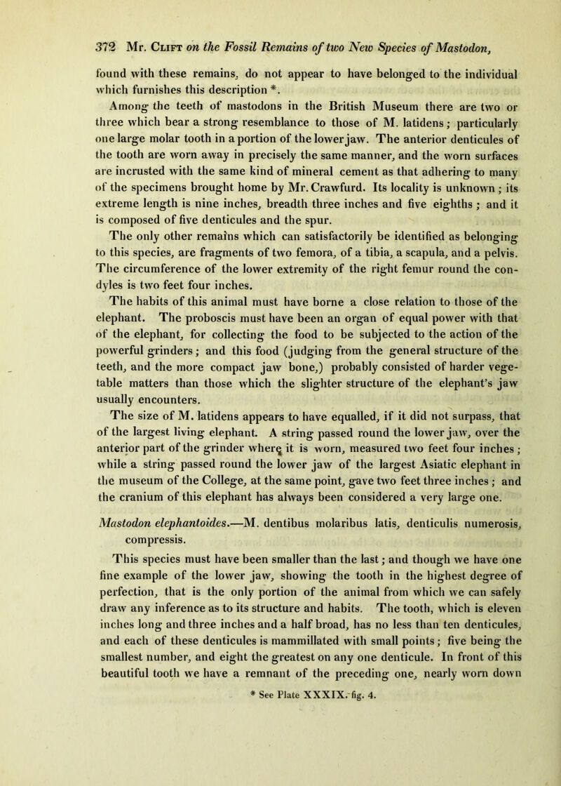 found with these remains^ do not appear to have belonged to the individual which furnishes this description *. Among the teeth of mastodons in the British Museum there are two or three which bear a strong resemblance to those of M. latidens; particularly one large molar tooth in a portion of the lower jaw. The anterior denticules of the tooth are worn away in precisely the same manner^ and the worn surfaces are incrusted with the same kind of mineral cement as that adhering to many of the specimens brought home by Mr. Crawfurd. Its locality is unknown ; its extreme length is nine inches^ breadth three inches and five eighths ; and it is composed of five denticules and the spur. The only other remains which can satisfactorily be identified as belonging to this species, are fragments of two femora, of a tibia, a scapula, and a pelvis. The circumference of the lower extremity of the right femur round the con- dyles is two feet four inches. The habits of this animal must have borne a close relation to those of the elephant. The proboscis must have been an organ of equal power with that of the elephant, for collecting the food to be subjected to the action of the powerful grinders; and this food (judging from the general structure of the teeth, and the more compact jaw bone,) probably consisted of harder vege- table matters than those which the slighter structure of the elephant’s jaw usually encounters. The size of M. latidens appears to have equalled, if it did not surpass, that of the largest living elephant. A string passed round the lower jaw, over the anterior part of the grinder wherq it is worn, measured two feet four inches ; while a string passed round the lower jaw of the largest Asiatic elephant in the museum of the College, at the same point, gave two feet three inches ; and the cranium of this elephant has always been considered a very large one. Mastodon elephantoides.—M. dentibus molaribus latis, denticulis numerosis, compressis. This species must have been smaller than the last; and though we have one fine example of the lower jaw, showing the tooth in the highest degree of perfection, that is the only portion of the animal from which we can safely draw any inference as to its structure and habits. The tooth, which is eleven inches long and three inches and a half broad, has no less than ten denticules, and each of these denticules is mammillated with small points; five being the smallest number, and eight the greatest on any one denticule. In front of this beautiful tooth we have a remnant of the preceding one, nearly worn down * See Plate XXXIX.'fig. 4.