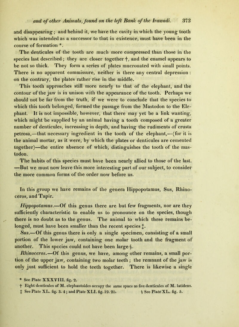 and disappearing; and behind it^ we have the cavity in which the young tooth which was intended as a successor to that in existence, must have been in the course of formation *. The denticules of the tooth are much more compressed than those in the species last described; they are closer together f, and the enamel appears to be not so thick. They form a series of plates mucronated with small points. There is no apparent commissure, neither is there any central depression ; on the contrary, the plates rather rise in the middle. This tooth approaches still more nearly to that of the elephant, and the contour of the jaw is in unison with the appearance of the tooth. Perhaps we should not be far from the truth, if we were to conclude that the species to which this tooth belonged, formed the passage from the Mastodon to the Ele- phant. It is not impossible, however, that there may yet be a link wanting, which might be supplied by an animal having a tooth composed of a greater number of denticules, increasing in depth, and having the rudiments of crusta petrosa,—that necessary ingredient in the tooth of the elephant,—(for it is the animal mortar, as it were, by which the plates or denticules are cemented together)—the entire absence of which, distinguishes the tooth of the mas- todon. The habits of this species must have been nearly allied to those of the last. —But we must now leave this more interesting part of our subject, to consider the more common forms of the order now before us. In this group we have remains of the genera Hippopotamus, Sus, Rhino- ceros, and Tapir. Hippopotamus.—Of this genus there are but few fragments, nor are they sufficiently characteristic to enable us to pronounce on the species, though there is no doubt as to the genus. The animal to which these remains be- longed, must have been smaller than the recent species J. Sus.—Of this genus there is only a single specimen, consisting of a small portion of the lower jaw, containing one molar tooth and the fragment of another. This species could not have been large §. Rhinoceros.—Of this genus, we have, among other remains, a small por- tion of the upper jaw, containing two molar teeth ; the remnant of the jaw is only just sufficient to hold the teeth together. There is likewise a single * See Plate XXXVIII. fig. 2. •j- Eight denticules of M. elephantoides occupy the same space as five denticules of M. latidens. J See Plate XL. fig. 3. 4; and Plate XLI. fig. 19.20. § See Plate XL. fig. 5.