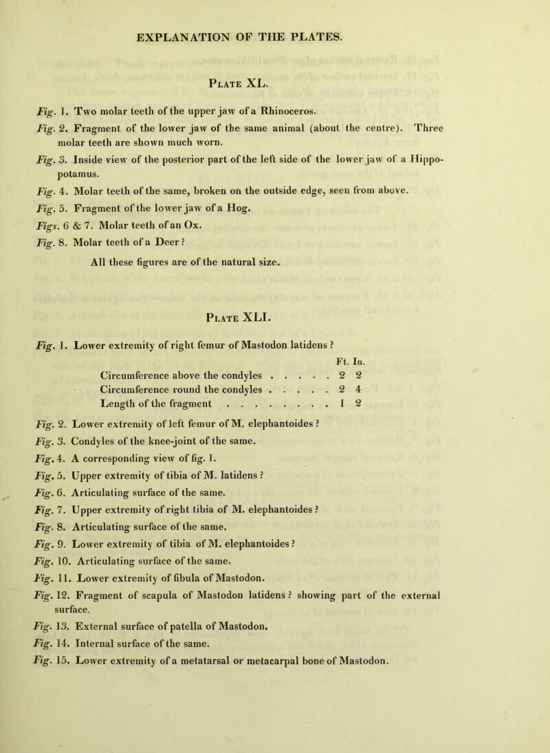 Plate XL. Fig. 1. Two molar teeth of the upper jaw of a Rhinoceros. Fig. 2. Fragment of the lower jaw of the same animal (about the centre). Three molar teeth are shown much worn. Fig. 3. Inside view of the posterior part of the left side of the low'er jaw of a Hippo- potamus. Fig. 4. Molar teeth of the same, broken on the outside edge, seen from above. Fig. 5. Fragment of the lower jaw of a Hog. Figs. 6 & 7. Molar teeth of an Ox. Fig. 8. Molar teeth of a Deer ? All these figures are of the natural size. Plate XLI. Fig. 1. Lower extremity of right femur of Mastodon latidens ? Ft. In. Circumference above the condyles 2 2 Circumference round the condyles 2 4 Length of the fragment 12 Fig. 2. Lower extremity of left femur of M. elephantoides ? Fig. 3. Condyles of the knee-joint of the same. Fig. 4. A corresponding view of fig. 1. Fig. 5. Upper extremity of tibia of M. latidens ? Fig. 6. Articulating surface of the same. Fig. 7. Upper extremity of right tibia of M. elephantoides ? Fig. 8. Articulating surface of the same. Fig. 9. Lower extremity of tibia of M. elephantoides ? Fig. 10. Articulating surface of the same. Fig. 11. Lower extremity of fibula of Mastodon. Fig. 12. Fragment of scapula of Mastodon latidens ? showing part of the external surface. Fig. 13. External surface of patella of Mastodon, Fig. 14. Internal surface of the same.
