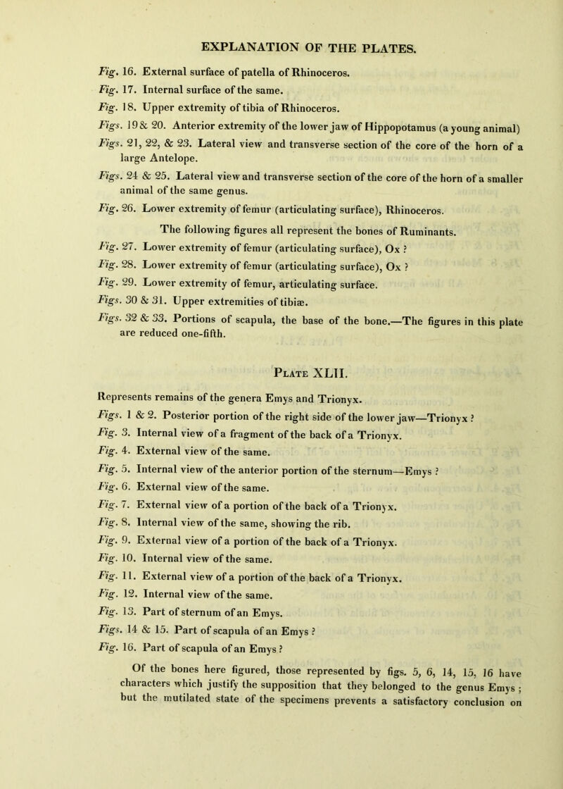 Fig, 16. External surface of patella of Rhinoceros. Fig. 17. Internal surface of the same. Fig. 18. Upper extremity of tibia of Rhinoceros. Figs. ]9 & 20. Anterior extremity of the lower jaw of Hippopotamus (a young animal) Figs. 21, 22, & 23. Lateral view and transverse section of the core of the horn of a large Antelope. Figs. 24 & 25. Lateral view and transverse section of the core of the horn of a smaller animal of the same genus. Fig. 26. Lower extremity of femur (articulating surface), Rhinoceros. The following figures all represent the bones of Ruminants. Fig. 27. Lower extremity of femur (articulating surface), Ox ? Fig. 28. Lower extremity of femur (articulating surface), Ox ? Fig. 29. Lower extremity of femur, articulating surface. Figs. 30 & 31. Upper extremities of tibi®. Figs. o2 & i)3. Portions of scapula, the base of the bone.—The figures in this plate are reduced one-fifth. Plate XLII. Represents remains of the genera Emys and Trionyx. Figs. 1 & 2. Posterior portion of the right side of the lower jaw—Trionyx ? Fig. 3. Internal view of a fragment of the back of a Trionyx. Fig. 4. External view of the same. Fig. 5. Internal view of the anterior portion of the sternum—Emys ? Fig. 6. External view of the same. Fig. 7. External view of a portion of the back of a Trionyx. J^ig. 8. Internal view of the same, showing the rib. Fig. 9. External view of a portion of the back of a Trionyx. Fig. 10. Internal view of the same. Fig. 11. External view of a portion of the back of a Trionyx. Fig. 12. Internal view of the same. Fig. 13. Part of sternum of an Emys. Figs. 14 & 15. Part of scapula of an Emys ? Fig. 16. Part of scapula of an Emys ? Of the bones here figured, those represented by figs. 5, 6, 14, 15, 16 have characters which justify the supposition that they belonged to the genus Emys ; but the mutilated state of the specimens prevents a satisfactory conclusion on