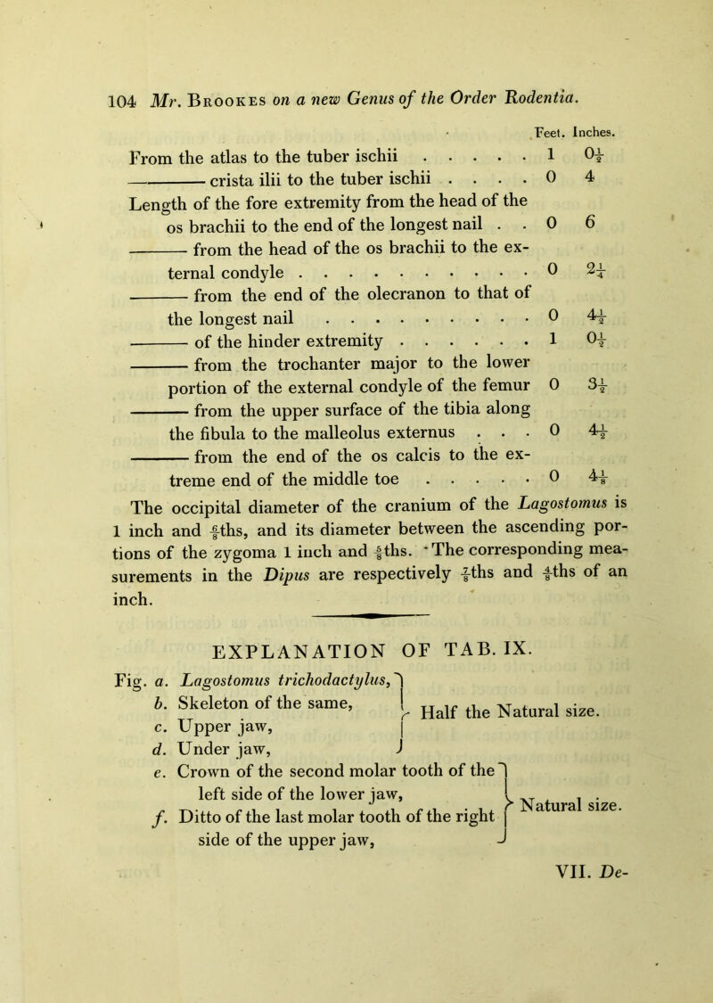 Feet. Inches. From the atlas to the tuber ischii 1 crista ilii to the tuber ischii .... 0 4 Length of the fore extremity from the head of the os brachii to the end of the longest nail . . 0 6 from the head of the os brachii to the ex- ternal condyle 0 2^ from the end of the olecranon to that of the longest nail 0 4-±- of the hinder extremity 1 Op from the trochanter major to the lower portion of the external condyle of the femur 0 from the upper surface of the tibia along the fibula to the malleolus externus ... 0 4p from the end of the os calcis to the ex- treme end of the middle toe 0 The occipital diameter of the cranium of the Lagostomus is 1 inch and -f-ths, and its diameter between the ascending por- tions of the zygoma 1 inch and ^ths. *The corresponding mea- surements in the Dipus are respectively pths and pths of an inch. EXPLANATION OF TAB. IX. Fig. a. Lagostomus trichodactylusf1 b. Skeleton of the same, !. Half &e Natural size. c. Upper jaw, d. Under jaw, J e. Crown of the second molar tooth of the! left side of the lower jaw, f. Ditto of the last molar tooth of the ri side of the upper jaw, J ght Natural size. VII. De-
