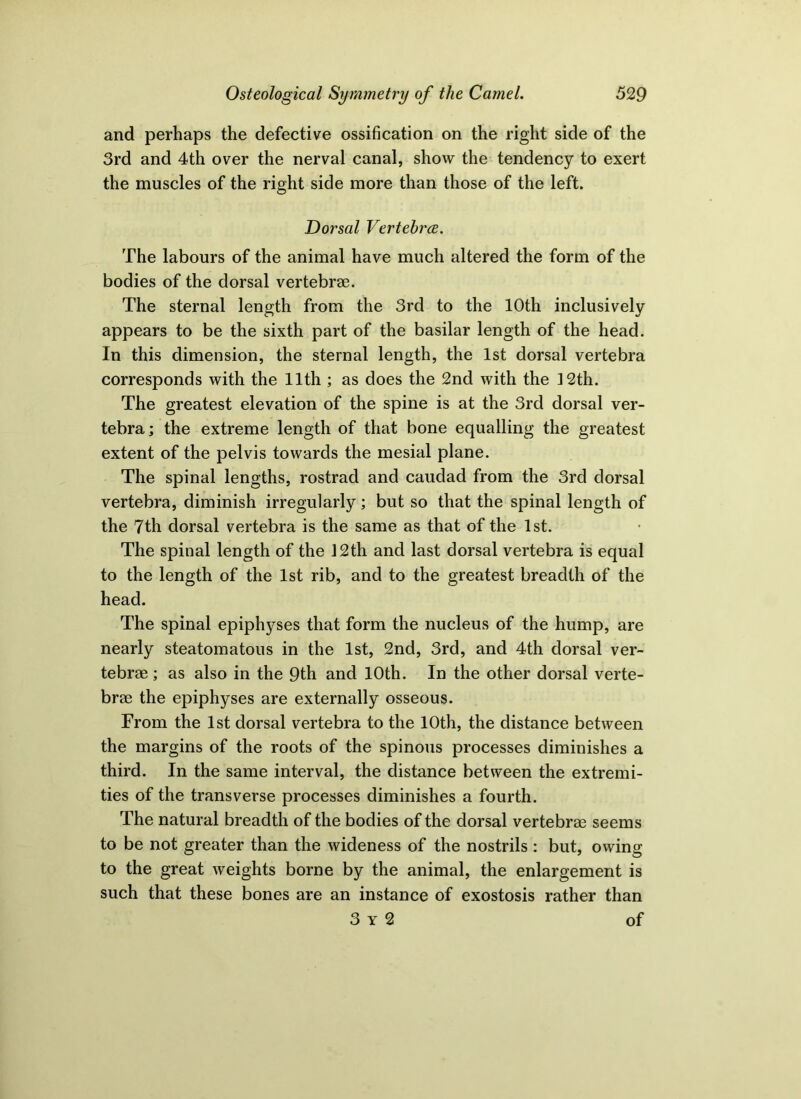 and perhaps the defective ossification on the right side of the 3rd and 4th over the nerval canal, show the tendency to exert the muscles of the right side more than those of the left. Dorsal Vertebra. The labours of the animal have much altered the form of the bodies of the dorsal vertebrae. The sternal length from the 3rd to the 10th inclusively appears to be the sixth part of the basilar length of the head. In this dimension, the sternal length, the 1st dorsal vertebra corresponds with the 11th ; as does the 2nd with the 3 2th. The greatest elevation of the spine is at the 3rd dorsal ver- tebra; the extreme length of that bone equalling the greatest extent of the pelvis towards the mesial plane. The spinal lengths, rostrad and caudad from the 3rd dorsal vertebra, diminish irregularly; but so that the spinal length of the 7th dorsal vertebra is the same as that of the 1st. The spinal length of the 12th and last dorsal vertebra is equal to the length of the 1st rib, and to the greatest breadth of the head. The spinal epiphyses that form the nucleus of the hump, are nearly steatomatous in the 1st, 2nd, 3rd, and 4th dorsal ver- tebrae ; as also in the 9th and 10th. In the other dorsal verte- brae the epiphyses are externally osseous. From the 1st dorsal vertebra to the 10th, the distance between the margins of the roots of the spinous processes diminishes a third. In the same interval, the distance between the extremi- ties of the transverse processes diminishes a fourth. The natural breadth of the bodies of the dorsal vertebrae seems to be not greater than the wideness of the nostrils; but, owing to the great weights borne by the animal, the enlargement is such that these bones are an instance of exostosis rather than 3 Y 2 of