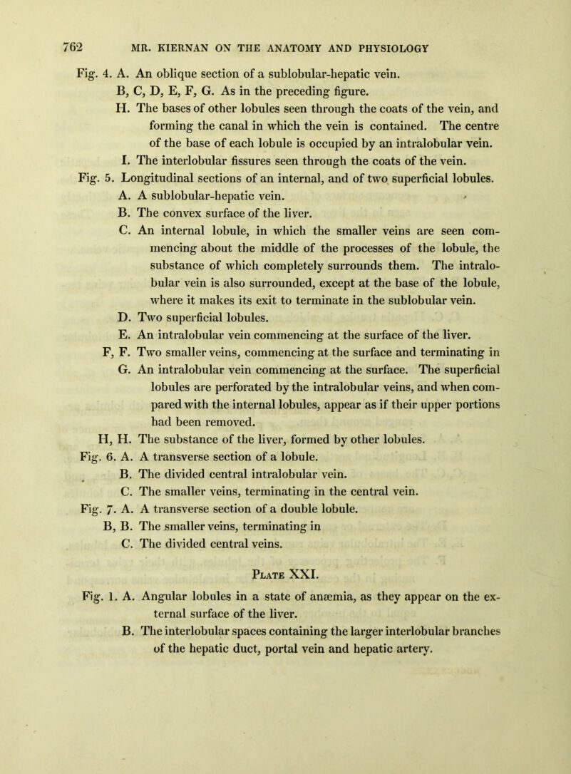 Fig. 4. A. An oblique section of a sublobular-hepatic vein. C, D, E, F, G. As in the preceding figure. H. The bases of other lobules seen through the coats of the vein, and forming the canal in which the vein is contained. The centre of the base of each lobule is occupied by an intralobular vein. I. The interlobular fissures seen through the coats of the vein. Fig. 5. Longitudinal sections of an internal, and of two superficial lobules. A. A sublobular-hepatic vein. B. The convex surface of the liver. C. An internal lobule, in which the smaller veins are seen com- mencing about the middle of the processes of the lobule, the substance of which completely surrounds them. The intralo- bular vein is also surrounded, except at the base of the lobule, where it makes its exit to terminate in the sublobular vein. D. Two superficial lobules. E. An intralobular vein commencing at the surface of the liver. F, F. Two smaller veins, commencing at the surface and terminating in G. An intralobular vein commencing at the surface. The superficial lobules are perforated by the intralobular veins, and when com- pared with the internal lobules, appear as if their upper portions had been removed. H, H. The substance of the liver, formed by other lobules. Fig. 6. A. A transverse section of a lobule. B. The divided central intralobular vein. * C. The smaller veins, terminating in the central vein. Fig. 7- A. A transverse section of a double lobule. B, B. The smaller veins, terminating in C. The divided central veins. Plate XXL Fig. 1. A. Angular lobules in a state of anaemia, as they appear on the ex- ternal surface of the liver. B. The interlobular spaces containing the larger interlobular branches of the hepatic duct, portal vein and hepatic artery.