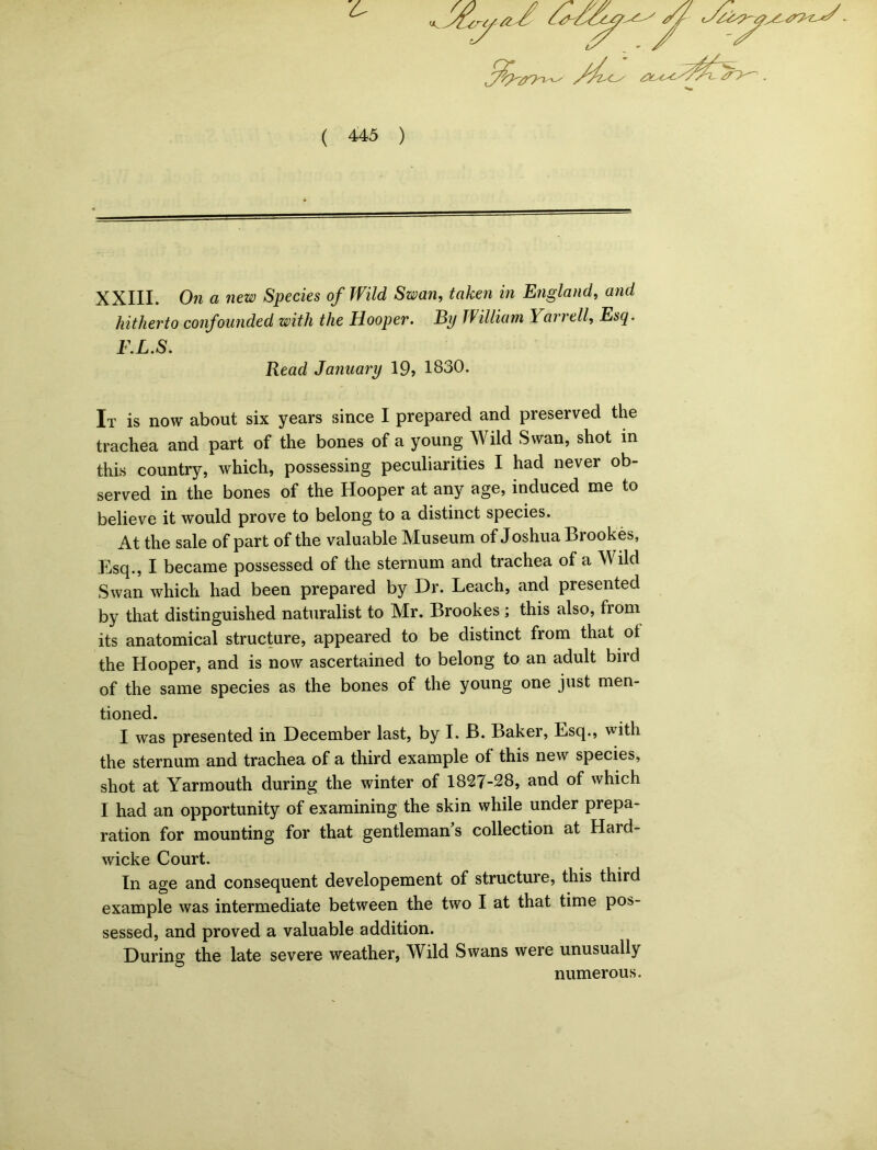 XXIII. On a new Species of Wild Swan, taken in England, and hitherto confounded with the Hooper. By William Yarrell, Esq. F.L.S. Read January 19> 1830. It is now about six years isince I prepared and preserved the trachea and part of the bones of a young Wild Swan, shot in this country, which, possessing peculiarities I had never ob- served in the bones of the Hooper at any age, induced me to believe it would prove to belong to a distinct species. At the sale of part of the valuable Museum of Joshua Brookes, Esq., I became possessed of the sternum and trachea of a Wild Swan which had been prepared by Dr. Leach, and presented by that distinguished naturalist to Mr. Brookes ; this also, fiom its anatomical structure, appeared to be distinct from that ot the Hooper, and is now ascertained to belong to an adult bird of the same species as the bones of the young one just men- tioned. I was presented in December last, by I. B. Baker, Esq., with the sternum and trachea of a third example of this new species, shot at Yarmouth during the winter of 1827-28, and of which I had an opportunity of examining the skin while under prepa- ration for mounting for that gentlemans collection at Hard- wicke Court. In age and consequent developement of structure, this third example was intermediate between the two I at that time pos- sessed, and proved a valuable addition. During the late severe weather, Wild Swans were unusually numerous.