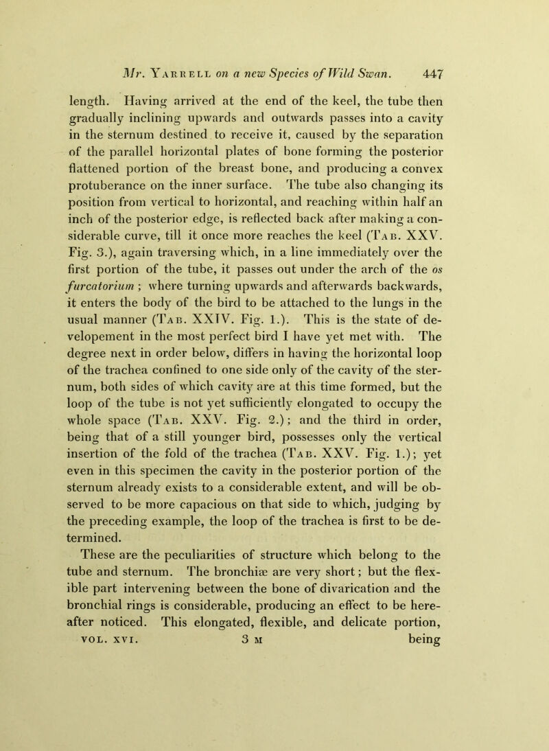 length. Having arrived at the end of the keel, the tube then gradually inclining upwards and outwards passes into a cavity in the sternum destined to receive it, caused by the separation of the parallel horizontal plates of bone forming the posterior flattened portion of the breast bone, and producing a convex protuberance on the inner surface. The tube also changing its position from vertical to horizontal, and reaching within half an inch of the posterior edge, is reflected back after making a con- siderable curve, till it once more reaches the keel (Tab. XXV. Fig. 3.), again traversing which, in a line immediately over the first portion of the tube, it passes out under the arch of the os furcatorium ; where turning upwards and afterwards backwards, it enters the body of the bird to be attached to the lungs in the usual manner (Tab. XXTV. Fig. 1.). This is the state of de- velopement in the most perfect bird I have yet met with. The degree next in order below, differs in having the horizontal loop of the trachea confined to one side only of the cavity of the ster- num, both sides of which cavity are at this time formed, but the loop of the tube is not yet sufficiently elongated to occupy the whole space (Tab. XXV. Fig. 2.); and the third in order, being that of a still younger bird, possesses only the vertical insertion of the fold of the trachea (Tab. XXV. Fig. 1.); yet even in this specimen the cavity in the posterior portion of the sternum already exists to a considerable extent, and will be ob- served to be more capacious on that side to which, judging b)r the preceding example, the loop of the trachea is first to be de- termined. These are the peculiarities of structure which belong to the tube and sternum. The bronchiae are very short; but the flex- ible part intervening between the bone of divarication and the bronchial rings is considerable, producing an effect to be here- after noticed. This elongated, flexible, and delicate portion, vol. xvi. 3 m being