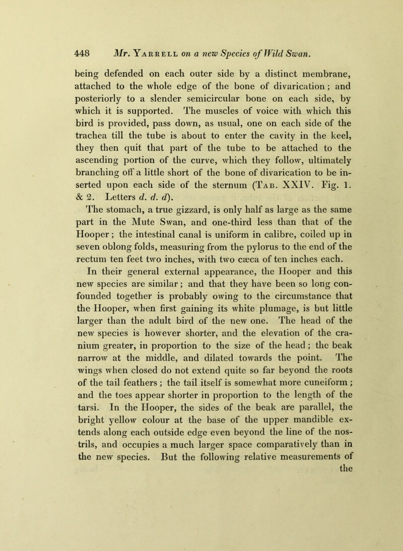 being defended on each outer side by a distinct membrane, attached to the whole edge of the bone of divarication; and posteriorly to a slender semicircular bone on each side, by which it is supported. The muscles of voice with which this bird is provided, pass down, as usual, one on each side of the trachea till the tube is about to enter the cavity in the keel, they then quit that part of the tube to be attached to the ascending portion of the curve, which they follow, ultimately branching off a little short of the bone of divarication to be in- serted upon each side of the sternum (Tab. XXIV. Fig. 1. & 2. Letters d. d. d). The stomach, a true gizzard, is only half as large as the same part in the Mute Swan, and one-third less than that of the Hooper; the intestinal canal is uniform in calibre, coiled up in seven oblong folds, measuring from the pylorus to the end of the rectum ten feet two inches, with two caeca of ten inches each. In their general external appearance, the Hooper and this new species are similar; and that they have been so long con- founded together is probably owing to the circumstance that the Hooper, when first gaining its white plumage, is but little larger than the adult bird of the new one. The head of the new species is however shorter, and the elevation of the cra- nium greater, in proportion to the size of the head ; the beak narrow at the middle, and dilated towards the point. The wings when closed do not extend quite so far beyond the roots of the tail feathers ; the tail itself is somewhat more cuneiform ; and the toes appear shorter in proportion to the length of the tarsi. In the Hooper, the sides of the beak are parallel, the bright yellow colour at the base of the upper mandible ex- tends along each outside edge even beyond the line of the nos- trils, and occupies a much larger space comparatively than in the new species. But the following relative measurements of the
