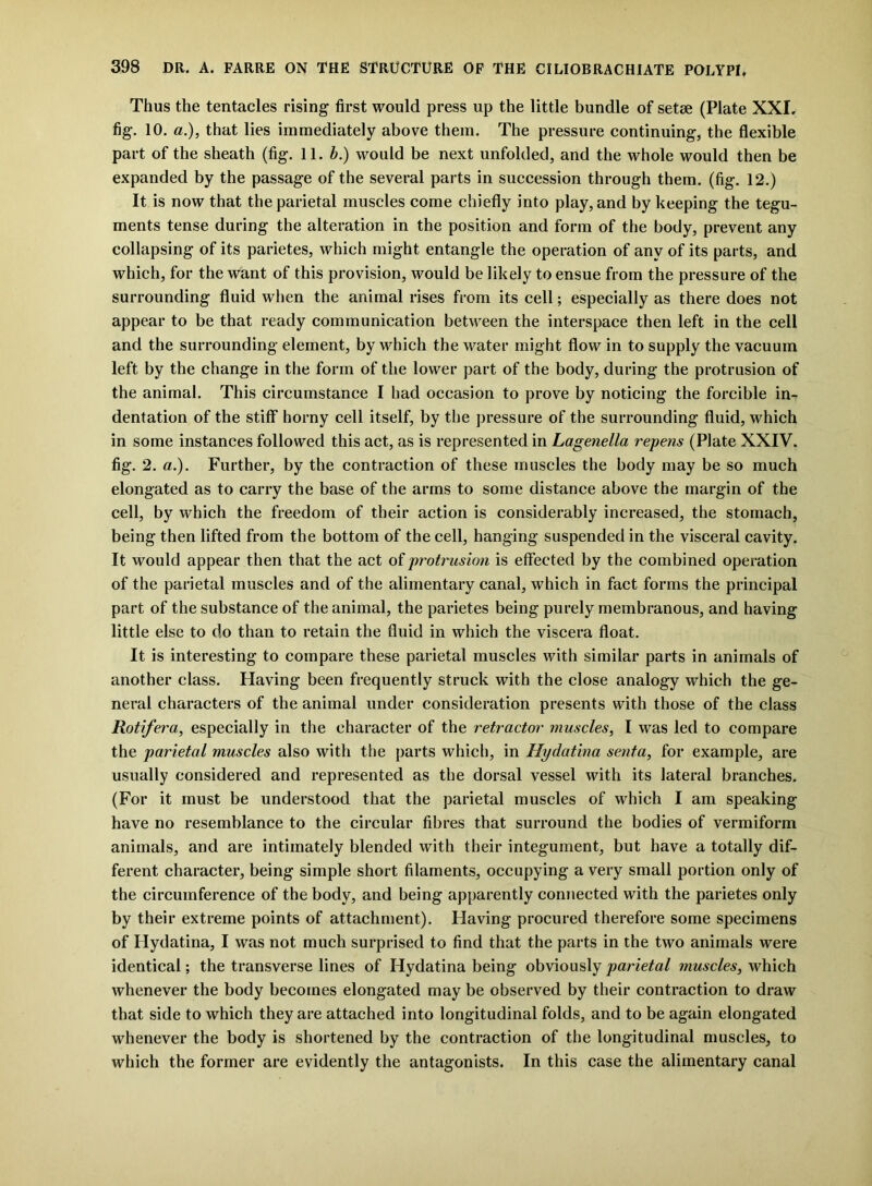 Thus the tentacles rising first would press up the little bundle of setse (Plate XXL fig. 10. a.), that lies immediately above them. The pressure continuing, the flexible part of the sheath (fig. 11. b.) would be next unfolded, and the whole would then be expanded by the passage of the several parts in succession through them. (fig. 12.) It is now that the parietal muscles come chiefly into play, and by keeping the tegu- ments tense during the alteration in the position and form of the body, prevent any collapsing of its parietes, which might entangle the operation of any of its parts, and which, for the want of this provision, would be likely to ensue from the pressure of the surrounding fluid when the animal rises from its cell; especially as there does not appear to be that ready communication between the interspace then left in the cell and the surrounding element, by which the water might flow in to supply the vacuum left by the change in the form of the lower part of the body, during the protrusion of the animal. This circumstance I had occasion to prove by noticing the forcible in- dentation of the stiff horny cell itself, by the pressure of the surrounding fluid, which in some instances followed this act, as is represented in Lagenella repens (Plate XXIV. fig. 2. a.). Further, by the contraction of these muscles the body may be so much elongated as to carry the base of the arms to some distance above the margin of the cell, by which the freedom of their action is considerably increased, the stomach, being then lifted from the bottom of the cell, hanging suspended in the visceral cavity. It would appear then that the act of protrusion is effected by the combined operation of the parietal muscles and of the alimentary canal, which in fact forms the principal part of the substance of the animal, the parietes being purely membranous, and having little else to do than to retain the fluid in which the viscera float. It is interesting to compare these parietal muscles with similar parts in animals of another class. Having been frequently struck with the close analogy which the ge- neral characters of the animal under consideration presents with those of the class Rotifera, especially in the character of the retractor muscles, I was led to compare the parietal muscles also with the parts which, in Hydatina senta, for example, are usually considered and represented as the dorsal vessel with its lateral branches. (For it must be understood that the parietal muscles of which I am speaking have no resemblance to the circular fibres that surround the bodies of vermiform animals, and are intimately blended with their integument, but have a totally dif- ferent character, being simple short filaments, occupying a very small portion only of the circumference of the body, and being apparently connected with the parietes only by their extreme points of attachment). Having procured therefore some specimens of Hydatina, I was not much surprised to find that the parts in the two animals were identical; the transverse lines of Hydatina being obviously parietal muscles, which whenever the body becomes elongated may be observed by their contraction to draw that side to which they are attached into longitudinal folds, and to be again elongated whenever the body is shortened by the contraction of the longitudinal muscles, to which the former are evidently the antagonists. In this case the alimentary canal