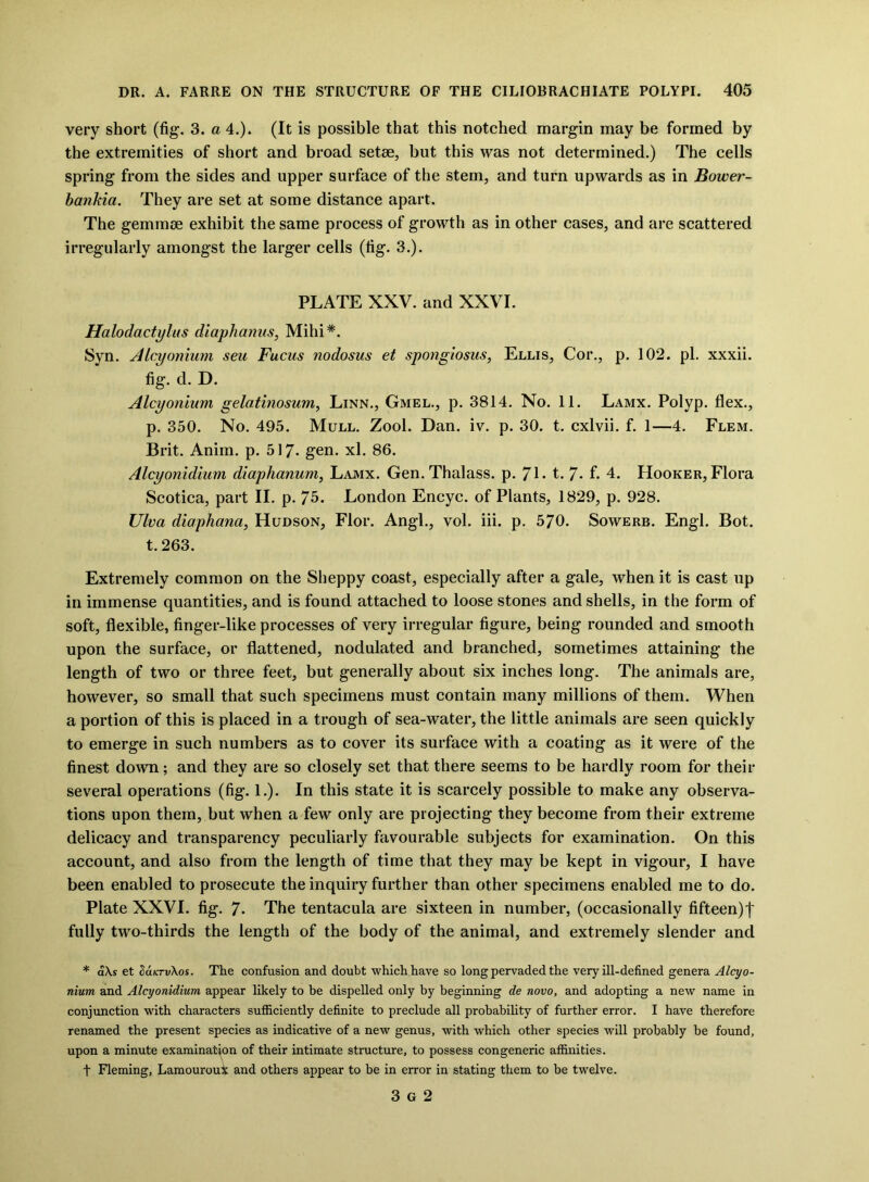 very short (fig. 3. a 4.). (It is possible that this notched margin may be formed by the extremities of short and broad setse, but this was not determined.) The cells spring from the sides and upper surface of the stem, and turn upwards as in Bower- bankia. They are set at some distance apart. The gemmae exhibit the same process of growth as in other cases, and are scattered irregularly amongst the larger cells (fig. 3.). PLATE XXV. and XXVI. Halodactylus diaphanus, Mihi*. Syn. Alcyonium seu Fucus nodosus et spongiosus, Ellis, Cor., p. 102. pi. xxxii. fig. d. D. Alcyonium gelatinosum, Linn., Gmel., p. 3814. No. 11. Lamx. Polyp, flex., p. 350. No. 495. Mull. Zool. Dan. iv. p. 30. t. cxlvii. f. 1—4. Flem. Brit. Anim. p. 517- gen. xl. 86. Alcyonidium diaphanum, Lamx. Gen. Thalass. p. 7L t. 7- f* 4. Hooker, Flora Scotica, part II. p. 75. London Encyc. of Plants, 1829, p. 928. Ulva diaphana, Hudson, Flor. Angl., vol. iii. p. 570. Sowerb. Engl. Bot. t. 263. Extremely common on the Sheppy coast, especially after a gale, when it is cast up in immense quantities, and is found attached to loose stones and shells, in the form of soft, flexible, finger-like processes of very irregular figure, being rounded and smooth upon the surface, or flattened, nodulated and branched, sometimes attaining the length of two or three feet, but generally about six inches long. The animals are, however, so small that such specimens must contain many millions of them. When a portion of this is placed in a trough of sea-water, the little animals are seen quickly to emerge in such numbers as to cover its surface with a coating as it were of the finest down; and they are so closely set that there seems to be hardly room for their several operations (fig-. 1.). In this state it is scarcely possible to make any observa- tions upon them, but when a few only are projecting they become from their extreme delicacy and transparency peculiarly favourable subjects for examination. On this account, and also from the length of time that they may be kept in vigour, I have been enabled to prosecute the inquiry further than other specimens enabled me to do. Plate XXVI. fig. 7* The tentacula are sixteen in number, (occasionally fifteen)! fully two-thirds the length of the body of the animal, and extremely slender and * a\s et oatcTvXos. The confusion and doubt which have so long pervaded the very ill-defined genera Alcyo- nium and Alcyonidium appear likely to be dispelled only by beginning de novo, and adopting a new name in conjunction with characters sufficiently definite to preclude all probability of further error. I have therefore renamed the present species as indicative of a new genus, with which other species will probably he found, upon a minute examination of their intimate structure, to possess congeneric affinities. t Fleming, LamourouX and others appear to be in error in stating them to be twelve. 3 G 2