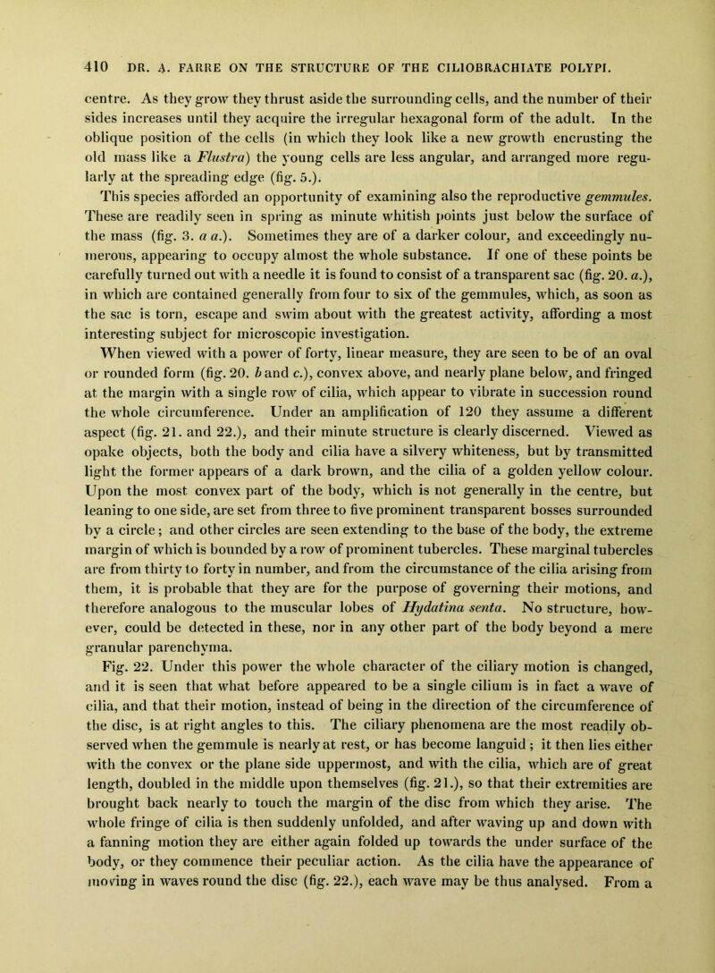 centre. As they g row they thrust aside the surrounding cells, and the number of their sides increases until they acquire the irregular hexagonal form of the adult. In the oblique position of the cells (in which they look like a new growth encrusting the old mass like a Flustra) the young cells are less angular, and arranged more regu- larly at the spreading edge (fig. 5.). This species afforded an opportunity of examining also the reproductive gemmules. These are readily seen in spring as minute whitish points just below the surface of the mass (fig. 3. a a.). Sometimes they are of a darker colour, and exceedingly nu- merous, appearing to occupy almost the whole substance. If one of these points be carefully turned out with a needle it is found to consist of a transparent sac (fig. 20. a.), in which are contained generally from four to six of the gemmules, which, as soon as the sac is torn, escape and swim about with the greatest activity, affording a most interesting subject for microscopic investigation. When viewed with a power of forty, linear measure, they are seen to be of an oval or rounded form (fig. 20. £and c.), convex above, and nearly plane below, and fringed at the margin with a single row of cilia, which appear to vibrate in succession round the whole circumference. Under an amplification of 120 they assume a different aspect (fig. 21. and 22.), and their minute structure is clearly discerned. Viewed as opake objects, both the body and cilia have a silvery whiteness, but by transmitted light the former appears of a dark brown, and the cilia of a golden yellow colour. Upon the most convex part of the body, which is not generally in the centre, but leaning to one side, are set from three to five prominent transparent bosses surrounded by a circle; and other circles are seen extending to the base of the body, the extreme margin of which is bounded by a row of prominent tubercles. These marginal tubercles are from thirty to forty in number, and from the circumstance of the cilia arising from them, it is probable that they are for the purpose of governing their motions, and therefore analogous to the muscular lobes of Hydatina senta. No structure, how- ever, could be detected in these, nor in any other part of the body beyond a mere granular parenchyma. Fig. 22. Under this power the whole character of the ciliary motion is changed, and it is seen that what before appeared to be a single cilium is in fact a wave of cilia, and that their motion, instead of being in the direction of the circumference of the disc, is at right angles to this. The ciliary phenomena are the most readily ob- served when the gemmule is nearly at rest, or has become languid ; it then lies either with the convex or the plane side uppermost, and with the cilia, which are of great length, doubled in the middle upon themselves (fig. 21.), so that their extremities are brought back nearly to touch the margin of the disc from which they arise. The whole fringe of cilia is then suddenly unfolded, and after waving up and down with a fanning motion they are either again folded up towards the under surface of the body, or they commence their peculiar action. As the cilia have the appearance of moving in waves round the disc (fig. 22.), each wave may be thus analysed. From a