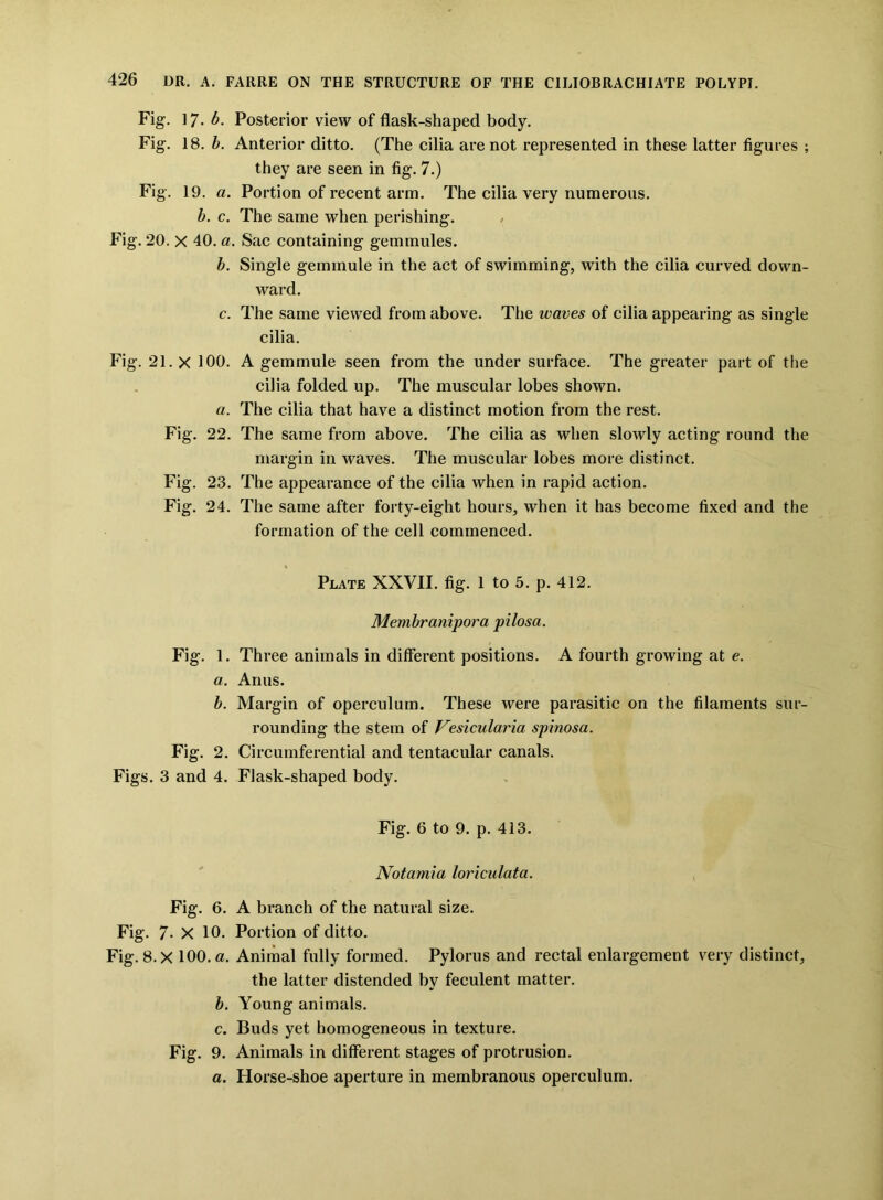 Fig. 17. b. Posterior view of flask-shaped body. Fig. 18. b. Anterior ditto. (The cilia are not represented in these latter figures ; they are seen in fig. 7.) Fig. 19. a. Portion of recent arm. The cilia very numerous. b. c. The same when perishing. , Fig. 20. X 40. a. Sac containing gemmules. b. Single geminule in the act of swimming, with the cilia curved down- ward. c. The same viewed from above. The waves of cilia appearing as single cilia. Fig. 21.x 100. A gemmule seen from the under surface. The greater part of the cilia folded up. The muscular lobes shown. a. The cilia that have a distinct motion from the rest. Fig. 22. The same from above. The cilia as when slowly acting round the margin in waves. The muscular lobes more distinct. Fig. 23. The appearance of the cilia when in rapid action. Fig. 24. The same after forty-eight hours, when it has become fixed and the formation of the cell commenced. Plate XXVII. fig. 1 to 5. p. 412. Membranipora pilosa. Fig. 1. Three animals in different positions. A fourth growing at e. a. Anus. b. Margin of operculum. These were parasitic on the filaments sur- rounding the stem of Vesicularla spinosa. Fig. 2. Circumferential and tentacular canals. Figs. 3 and 4. Flask-shaped body. Fig. 6 to 9. p. 413. Notamia loriculata. Fig. 6. A branch of the natural size. Fig. 7- X 10. Portion of ditto. Fig. 8.X 100. a. Animal fully formed. Pylorus and rectal enlargement very distinct, the latter distended by feculent matter. b. Young animals. c. Buds yet homogeneous in texture. Fig. 9. Animals in different stages of protrusion. a. Horse-shoe aperture in membranous operculum.