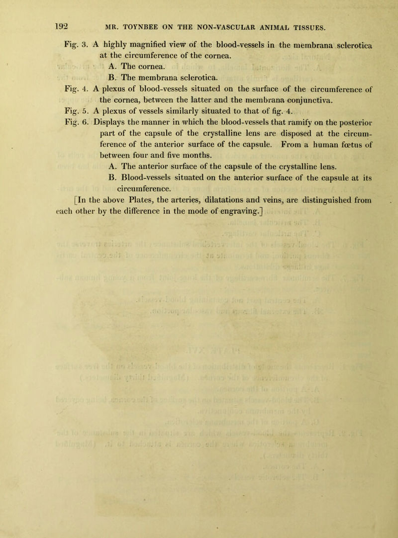 Fig. 3. A highly magnified view of the blood-vessels in the membrana sclerotica at the circumference of the cornea. A. The cornea. B. The membrana sclerotica. Fig. 4. A plexus of blood-vessels situated on the surface of the circumference of the cornea, between the latter and the membrana conjunctiva. Fig. 5. A plexus of vessels similarly situated to that of fig. 4. Fig. 6. Displays the manner in which the blood-vessels that ramify on the posterior part of the capsule of the crystalline lens are disposed at the circum- ference of the anterior surface of the capsule. From a human foetus of between four and five months. A. The anterior surface of the capsule of the crystalline lens. B. Blood-vessels situated on the anterior surface of the capsule at its circumference. [In the above Plates, the arteries, dilatations and veins, are distinguished from each other by the difference in the mode of engraving.]