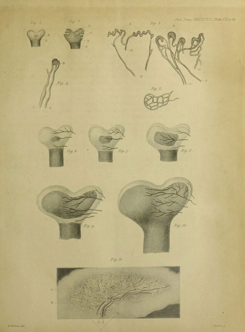 JPhil. Ti'ons. JVID CCCXLI. FLate.XiSLp.28^ J.Jiasire, sc.