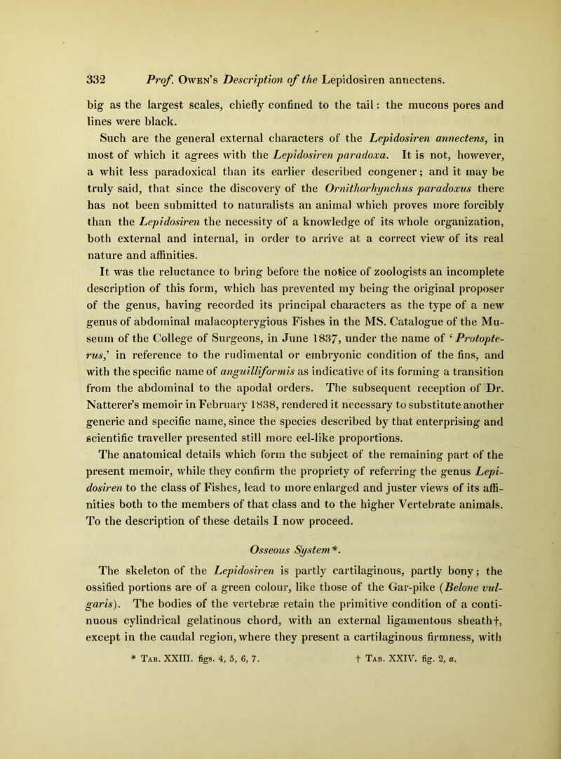 big as the largest scales, chiefly confined to the tail: the mucous pores and lines were black. Such are the general external characters of the Lepidosiren annectens, in most of which it agrees with the Lepidosiren paradoxa. It is not, however, a whit less paradoxical than its earlier described congener; and it may be truly said, that since the discovery of the Ornithorhynchus paradoxus there has not been submitted to naturalists an animal which proves more forcibly than the Lepidosiren the necessity of a knowledge of its whole organization, both external and internal, in order to arrive at a correct view of its real nature and affinities. It was the reluctance to bring before the notice of zoologists an incomplete description of this form, which has prevented my being the original proposer of the genus, having recorded its principal characters as the type of a new genus of abdominal malacopterygious Fishes in the MS. Catalogue of the Mu- seum of the College of Surgeons, in June 1837, under the name of ‘ Protopte- rus,' in reference to the rudimental or embryonic condition of the fins, and with the specific name of anguilliformis as indicative of its forming a transition from the abdominal to the apodal orders. The subsequent reception of Dr. Natterer’s memoir in February 1838, rendered it necessary to substitute another generic and specific name, since the species described by that enterprising and scientific traveller presented still more eel-like proportions. The anatomical details which form the subject of the remaining part of the present memoir, while they confirm the propriety of referring the genus Lepi- dosiren to the class of Fishes, lead to more enlarged and juster views of its affi- nities both to the members of that class and to the higher Vertebrate animals. To the description of these details I now proceed. Osseous System*. The skeleton of the Lepidosiren is partly cartilaginous, partly bony; the ossified portions are of a green colour, like those of the Gar-pike (Belone vul- garis). The bodies of the vertebrae retain the primitive condition of a conti- nuous cylindrical gelatinous chord, with an external ligamentous sheath f, except in the caudal region, where they present a cartilaginous firmness, with
