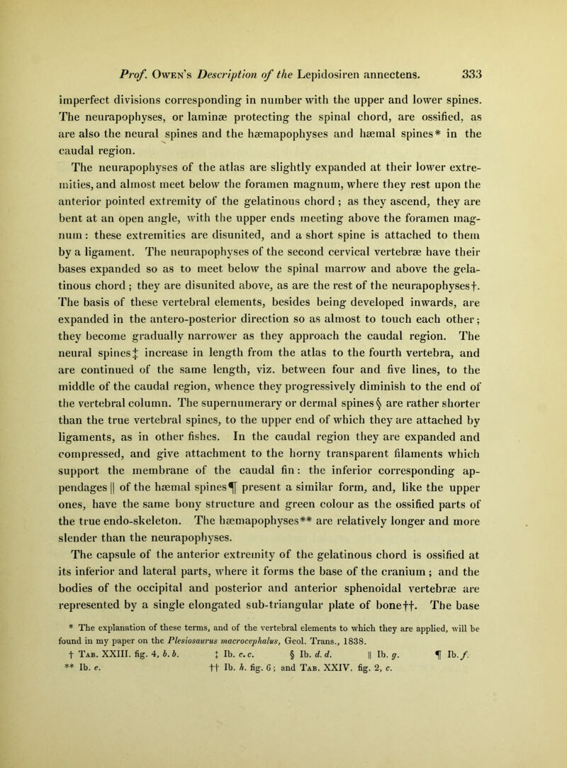 imperfect divisions corresponding in number with the upper and lower spines. The neurapophyses, or laminae protecting the spinal chord, are ossified, as are also the neural spines and the haemapophyses and haemal spines* in the caudal region. The neurapophyses of the atlas are slightly expanded at their lower extre- mities, and almost meet below the foramen magnum, where they rest upon the anterior pointed extremity of the gelatinous chord ; as they ascend, they are bent at an open angle, with the upper ends meeting above the foramen mag- num : these extremities are disunited, and a short spine is attached to them by a ligament. The neurapophyses of the second cervical vertebrae have their bases expanded so as to meet below the spinal marrow and above the gela- tinous chord ; they are disunited above, as are the rest of the neurapophysesf. The basis of these vertebral elements, besides being developed inwards, are expanded in the antero-posterior direction so as almost to touch each other; they become gradually narrower as they approach the caudal region. The neural spines increase in length from the atlas to the fourth vertebra, and are continued of the same length, viz. between four and five lines, to the middle of the caudal region, whence they progressively diminish to the end of the vertebral column. The supernumerary or dermal spines § are rather shorter than the true vertebral spines, to the upper end of which they are attached by ligaments, as in other fishes. In the caudal region they are expanded and compressed, and give attachment to the horny transparent filaments which support the membrane of the caudal fin: the inferior corresponding ap- pendages || of the haemal spines^[ present a similar form, and, like the upper ones, have the same bony structure and green colour as the ossified parts of the true endo-skeletou. The haemapophyses** are relatively longer and more slender than the neurapophyses. The capsule of the anterior extremity of the gelatinous chord is ossified at its inferior and lateral parts, where it forms the base of the cranium ; and the bodies of the occipital and posterior and anterior sphenoidal vertebrae are represented by a single elongated sub-triangular plate of boneff. The base * The explanation of these terms, and of the vertebral elements to which they are applied, will he found in my paper on the Plesiosaurus macrocephalus, Geol. Trans., 1838. f Tab. XXIII. fig. 4, b. b. 1 lb. c.c. § lb. d. d. || lb. g. ** lb. e. tt lb. h. fig. 6; and Tab. XXIV. fig. 2, c. H lb./.