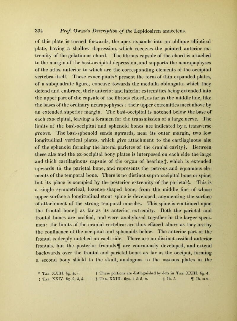 of this plate is turned forwards, the apex expands into an oblique elliptical plate, having a shallow depression, which receives the pointed anterior ex- tremity of the gelatinous chord. The fibrous capsule of the chord is attached to the margin of the basi-occipital depression, and supports the neurapophyses of the atlas, anterior to which are the corresponding elements of the occipital vertebra itself. These exoccipitals* present the form of thin expanded plates, of a subquadrate figure, concave towards the medulla oblongata, which they defend and embrace, their anterior and inferior extremities being extended into the upper part of the capsule of the fibrous chord, as far as the middle line, like the bases of the ordinary neurapophyses : their upper extremities meet above by an extended superior margin. The basi-occipital is notched below the base of each exoccipital, leaving a foramen for the transmission of a large nerve. The limits of the basi-occipital and sphenoid bones are indicated by a transverse groove. The basi-sphenoid sends upwards, near its outer margin, two low longitudinal vertical plates, which give attachment to the cartilaginous alee of the sphenoid forming the lateral parietes of the cranial cavityf. Between these alse and the ex-occipital bony plates is interposed on each side the large and thick cartilaginous capsule of the organ of hearing;};, which is extended upwards to the parietal bone, and represents the petrous and squamous ele- ments of the temporal bone. There is no distinct supra-occipital bone or spine, but its place is occupied by the posterior extremity of the parietal^. This is a single symmetrical, lozenge-shaped bone, from the middle line of whose upper surface a longitudinal stout spine is developed, augmenting the surface of attachment of the strong temporal muscles. This spine is continued upon the frontal bone|| as far as its anterior extremity. Both the parietal and frontal bones are ossified, and were anchylosed together in the larger speci- men : the limits of the cranial vertebrae are thus effaced above as they are by the confluence of the occipital and sphenoids below. The anterior part of the frontal is deeply notched on each side. There are no distinct ossified anterior frontals, but the posterior frontals^[ are enormously developed, and extend backwards over the frontal and parietal bones as far as the occiput, forming a second bony shield to the skull, analogous to the osseous plates in the * Tab. XXIII. fig. jL, i. + These portions are distinguished by dots in Tab. XXIII. fig. 4. * Tab. XXIV. fig. 2, k, k. § Tab. XXIII. figs. 4 & 5, k. || lb. 1. lb. mm.