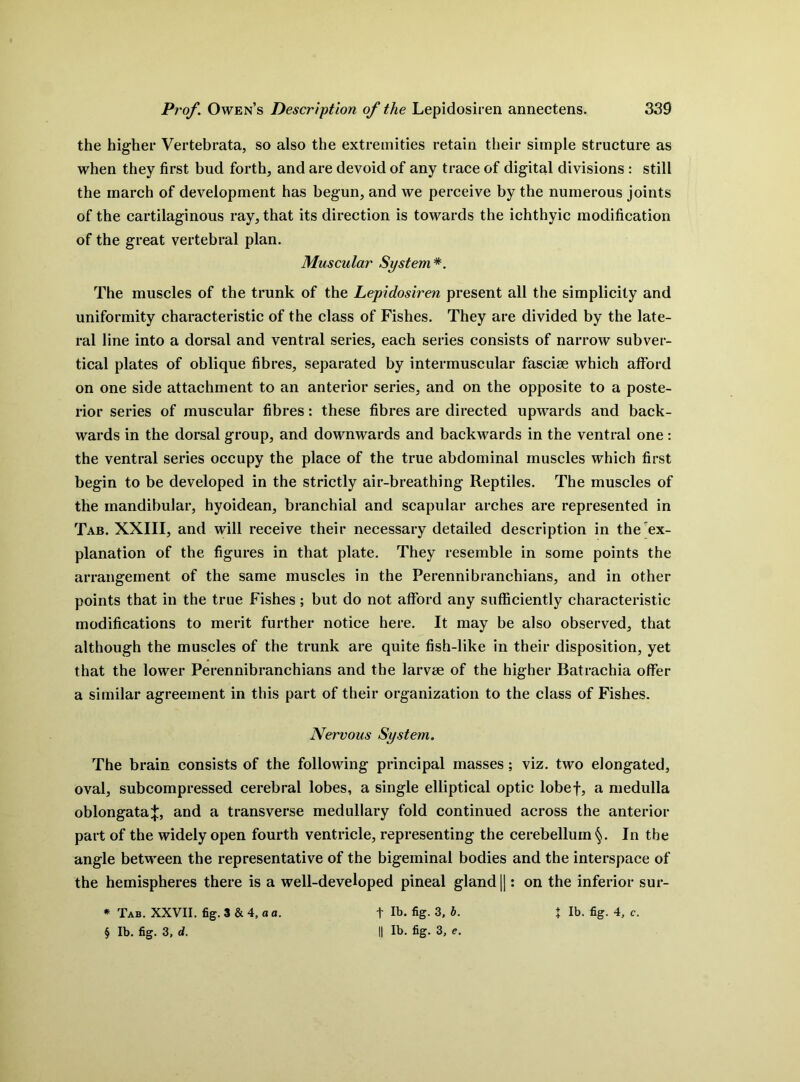 the higher Vertebrata, so also the extremities retain their simple structure as when they first bud forth, and are devoid of any trace of digital divisions : still the inarch of development has begun, and we perceive by the numerous joints of the cartilaginous ray, that its direction is towards the ichthyic modification of the great vertebral plan. Muscular System*. The muscles of the trunk of the Lepidosiren present all the simplicity and uniformity characteristic of the class of Fishes. They are divided by the late- ral line into a dorsal and ventral series, each series consists of narrow subver- tical plates of oblique fibres, separated by intermuscular fasciae which afford on one side attachment to an anterior series, and on the opposite to a poste- rior series of muscular fibres: these fibres are directed upwards and back- wards in the dorsal group, and downwards and backwards in the ventral one: the ventral series occupy the place of the true abdominal muscles which first begin to be developed in the strictly air-breathing Reptiles. The muscles of the mandibular, hyoidean, branchial and scapular arches are represented in Tab. XXIII, and will receive their necessary detailed description in the ex- planation of the figures in that plate. They resemble in some points the arrangement of the same muscles in the Perennibranchians, and in other points that in the true Fishes ; but do not afford any sufficiently characteristic modifications to merit further notice here. It may be also observed, that although the muscles of the trunk are quite fish-like in their disposition, yet that the lower Perennibranchians and the larvae of the higher Batrachia offer a similar agreement in this part of their organization to the class of Fishes. Nervous System. The brain consists of the following principal masses; viz. two elongated, oval, subcompressed cerebral lobes, a single elliptical optic lobef, a medulla oblongata^, and a transverse medullary fold continued across the anterior part of the widely open fourth ventricle, representing the cerebellum §. In the angle between the representative of the bigeminal bodies and the interspace of the hemispheres there is a well-developed pineal gland ||: on the inferior sur- § lb. fig. 3, d. || lb. fig. 3, e.