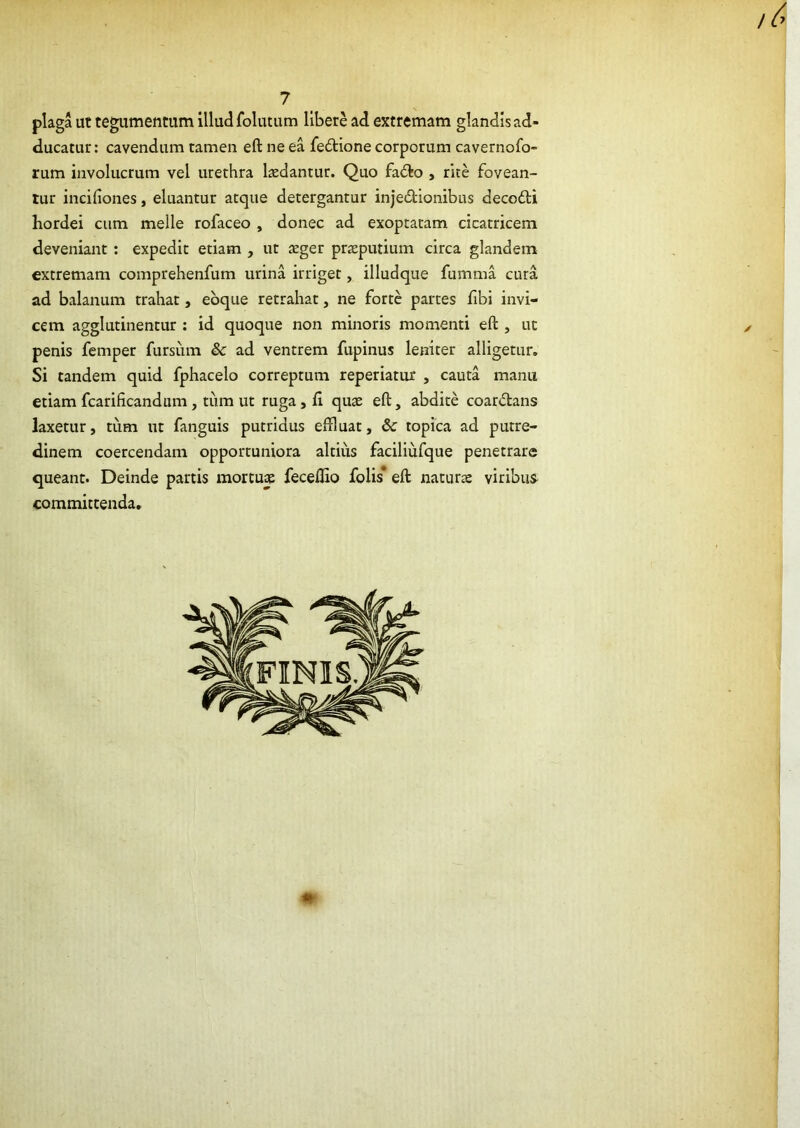 plaga ut tegumentum illud folutum libere ad extremam glandis ad- ducatur: cavendum tamen eft ne ea fe^tione corporum cavernofo- rum involucrum vel urethra laedantur. Quo fad:o , rite fovean- tur incifiones, eluantur atque detergantur injedionibus decofti hordei cum meile tofaceo , donec ad exoptatam cicatricem deveniant : expedit etiam , ut teger praeputium circa glandem extremam comprehenfum urina irriget, illudque fumma cura ad balanum trahat, ebque retrahat, ne forte partes fibi invi- cem agglutinentur : id quoque non minoris momenti eft , ut penis femper fursum & ad ventrem fupinus leniter alligetur. Si tandem quid fphacelo correptum reperiatur , cauta manu etiam fcarificandum, tum ut ruga, fi quae eft, abdite coardlans laxetur, tum ut fanguis putridus effluat, & topica ad putre- dinem coercendam opportuniora altius faciliiifque penetrare queant. Deinde partis mortu^ feceffio foUs* eft naturae viribus committenda. *