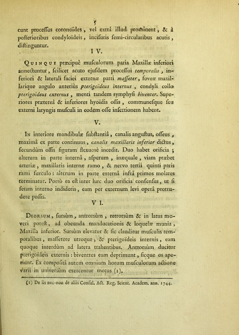 pofterioribus condyloideis, incifuris femi-circularibus acutis , dillinguntur. I V. Quinque prascipue mufculorum paria Maxillae inferiori annedtuntur, fcilicet acuto ejufdem procelTui temporalis j in- feriori & laterali faciei externa parti majfeter y fovea: maxil- larique angulo anterius pterigoideus internus , condyli collo pterigdideus externus , menti tandem symphyfi biventer. Supe- riores pra:terea & inferiores hyoidis offis , communefque feu externi laryngis mufculi in eodem offie infertionem habent. V. In interiore mandibulae fiibftantia, canalis anguftus, oileus j maxima ex parte continuus , canalis maxillaris inferior didlus, fecundum offis figuram flexuose incedit. Duo habet orificia ; alterum in parte interna , afperum , inxquale , viam praebet arteriae, maxillaris internae ramo , & nervo tertii quinti paris rami furculo ; alterum in parte externa infra primos molares terminatur. Porro ea eft inter haec duo orificia’' confenfus, ut fi fetam incerno indideris, eam per externum levi opera protru- dere poffis. V I. Deorsum , fursum ^ antrorsum , retrorsum 8c in latus mo- veri potefl:, ad obeunda manducationis & loquelae munia , Maxilla inferior. Sursum elevatur & fic clauditur mufculis tem- poralibus, mafletere utroque & pterigoideis internis, eam quoque interdum ad latera trahentibus. Antrorsum ducitur pcerigoideis externis: biventres eam deprimunt, ficque os ape- riunt. Ex compofica autem omnium horum mufculorum adlione varii in universum exercentur motus (i). (i) Dc iis nec-noa de aliis Conful. Adi. Reg. Scient. Academ. ana. 1744.