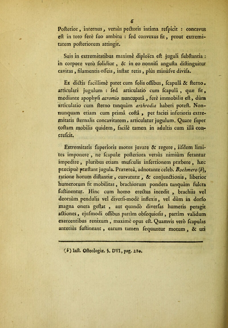 Pofterior, internus, versus pedoris intima refpicit ; concavus cft in toto fere fuo ambitu : fed convexus fit, prout extremi- tatem pofteriorem attingit. Suis in extremitatibus maxime diploica eft juguli fubftantia ; in corpore vero folidior , & in eo nonnifl angufta diftinguitur cavitas , filamentis ofTeis, inftar retis , plus minufve divifa. Ex didis facillime patet cum folis oflibus, fcapula & fterno» articulari jugulum ; fed articulatib cum fcapula , quae fit, mediante apophyfi acromio nuncupata ^ fere immobilis eft, dum articulatio cum fterno tanquam arthrodia haberi poteft. Non- nunquam etiam cum prima cofta , per faciei inferioris extre- mitatis fternalis concavitatem, articulatur jugulum. Quare fupet coftam mobilis quidem, facile tamen in adultis cum illa coa- crefeit. Extremitatis fuperioris motus juvare & regere, iifdem limi- tes imponere , ne fcapulae pofteriora versus nimium ferantur impedire, pluribus etiam mufculis infertionem preebete, \\xc praecipue praeftant jugula. Praeterea, adnotante celeb. Boehmero {Fj, ratione horum diftantiae, curvaturae, & conjundionis, liberior humerorum fit mobilitas , brachiorum pondera tanquam fulcra fuftinentur. Hinc cum homo eredus incedit , brachiis vel deorsum pendulis vel diverfi-mode inflexis, vel dum in dorfo magna onera geftat , aut quando diverfas humeris peragit adiones, ejufmodi offibus partim obfequiofis, partim validum exercentibus renixum , maxime opus eft. Quamvis vero fcapulas anterius fuftineant, earum tamen fequuntur motum, & uti (O Inft. Oftcologia;. §. DVI, pag.