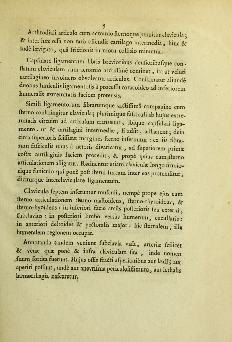 Arthrodiali articulo cum acromio fternoque jungitur clavicula; & inter hxc olTa non raro offendit cartilago intermedia, hinc & inde lasvigata, qua fridionis in motu collisio minuitur. Capfulare ligamentum fibris brevioribus denfioribufque con^ flatum claviculam cum acromio arctiflime continet, ita ut veluti cartilagineo involucro obvolvatur articulus. Confirmatur aliunde duobus funiculis ligamentofis a procefiTu coracoideo ad inferiorem humeralis extremitatis faciem protensis. Simili ligamentorum fibrarumque ardiflima compagine cum fterno conftringitur clavicula; plurimique fafciculi ab hu^jus extre. initatis circuitu ad articulum transeunt, ibique capfulari liga- mento , ut & cartilagini intermedia , fi adfit, adhxrent; dein circa fuperioris fciffuras margines fterno inferuntur : ex iis fibra- rum fafciculis unus a caeteris divaricatur , ad fuperiorem primae coftae cartilaginis faciem procedit, & prope ipfius cum fterno articulationem alligatur. Retinentur etiam clavicula longo firmio- rique funiculo qui pone poft fterni furcam inter eas protenditur, diciturque interclaviculare ligamentum. Claviculae feptem inferuntur mufculi, nempe prope ejus cum fterno articulationem ft^rno-maftoideus, fterno-thyroideus, Sc fterno-hyoideus : in inferiori facie arcus pofterioris feu externi fubclavius : in pofteriori limbo versus humerum, cucullaris; in anteriori deltoides & pedoralis major: hic fternalem, ille humeralem regionem occupat. Annotanda tandem veniunt fubclavia vafa, arteris fcilicee & vens qus pone & infra claviculam fica , inde nomen .fuum fortita fuerunt. Hujus oflls fradi afperitatibus aut Isdiaut aperiri pofiunt, unde aut aiievriiina periculQfilfimunj, aut lethalis haemorrhagia nafceretur. I