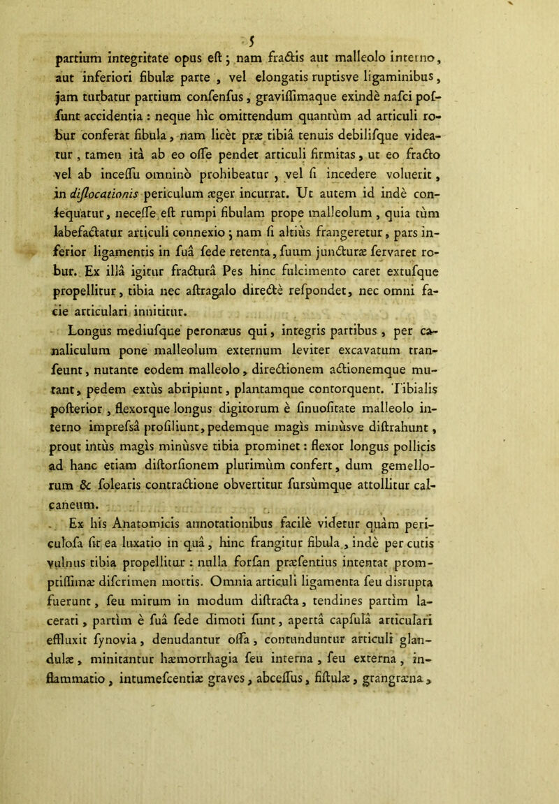partium integritate opus eft; nam fradls aut malleolo interno, aut inferiori fibulte parte , vel elongatis ruptisve ligaminibus, jam turbatur partium confenfus, graviflimaque exinde nafci poC- funt accidentia : neque hic omittendum quantum ad articuli ro- bur conferat fibula, nam licet prae tibia tenuis debilifque videa- tur , tamen ita ab eo ofle pendet articuli firmitas, ut eo fradlo vel ab incelTu omnino prohibeatur , vel fi incedere voluerit, jn periculum aeger incurrat. Ut autem id inde con- iequatur, necefle eft rumpi fibulam prope malleolum , quia tum labefadtatur articuli connexio j nam fi altius frangeretur, pars in- ferior ligamentis in fua fede retenta, fuum juiuSturae fervaret ro- bur. Ex illa igitur fradura Pes hinc fulcimento caret extufque propellitur, tibia nec aftragalo diredte refpondet, nec omni fa- de articulari innititur. Longus mediufque peronaeus qui, integris partibus , per ca- naliculum pone malleolum externum leviter excavatum tran- feunt, nutante eodem malleolo, diredionem adionemque mu- rant, pedem extus abripiunt, plantamque contorquent. Tibialis pofterior , flexorque longus digitorum e finuofitate malleolo in- terno imprefs^ profiliunt,pedemque magis minusve diftrahunt, prout intiis magis minusve tibia prominet; flexor longus pollicis ad hanc etiam diftorfionem plurimum confert, dum gemello- rum & folearis contradlione obvertitur fursumque attollitur cal- caneum. Ex his Anatomicis annotationibus facile videtur quam peri- culofa fit ea luxatio in qua, hinc frangitur fibula , inde per cutis vulnus tibia propellitur ; nulla forfan prtefentius intentat prom- ptiflima: difcrimen mortis. Omnia articuli ligamenta feu disrupta fuerunt, feu mirum in modum diftrada, tendines partim la- cerati , partim e fua fede dimoti funt, aperta capfula articulari effluxit fynovia, denudantur offa, contunduntur articuli glan- dulte, minitantur hsemorrhagia feu interna , feu externa, in- fiamnaatio, intumefcentia; graves, abcelTus, fiftulae, grangratna >