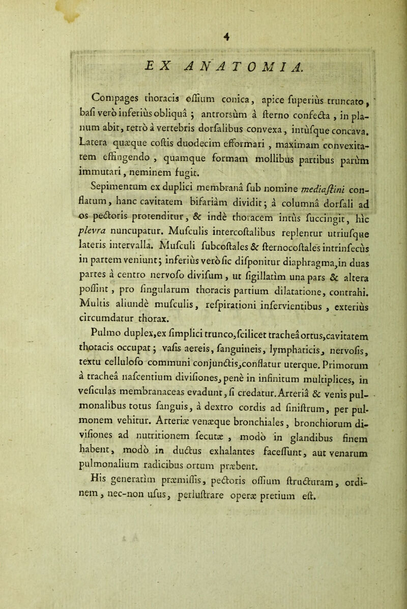 E X A NA TOMI A. Compages thoracis ofliiim conica, apice fuperius truncato j bafi vero inferius obliqua j antrorsum a fterno confeda , in pla- num abit, retro a vertebris dorfalibus convexa, intiifque concava. Latera qusque coftis duodecim efformari , maximam convexita- tem effingendo , quamque formam mollibus partibus parum immutari, neminem fugit. Sepimentum ex duplici membrana fub nomine tncdiojiini con- flatum, hanc cavitatem bifariam dividit j a columna dorfali ad os pedoris protenditur, & inde thoracem intiis fuccingit, hic plevra nuncupatur. Mufculis intercofialibus replentur utriufque lateris intervalla. Mufculi fubcoftales &■ fternocoftales intrinfecus in partem veniunt j inferius vero fle difponitur diaphragma,in duas partes a centro nervofo divifum, ut flgillatim una pars & altera poffint, pro flngularum thoracis partium dilatatione, contrahi. Klultis aliunde mufculis, refpirationi infervientibus , exterius circumdatur thorax. Pulmo duplex,ex flmplicitrunco,fciIicet tracheaortus,cavitatem thptacis occupat J vafls aereis, fanguineis, lymphaticis, nervofls, textu cellulofo communi conjundis,conflatur uterque. Primorum a trachea nafcentium diviflones, pene in infinitum multiplices, in veficulas membranaceas evadunt, fi credatur.Arteria & venis pul- monalibus totus fanguis, a dextro cordis ad finiftrum, per pul- monem vehitur. Arteris vensque bronchiales, bronchiorum di- vifiones ad nutritionem fecuts , modb in glandibus finem habent, modb in dudus exhalantes faceffiunt, aut venarum pulmonalium radicibus ortum prsbenr. His generatim prsmiffis, pedoris offium ftruduram, ordi- nem, nec-non ufus, perluftrare opers pretium eft.