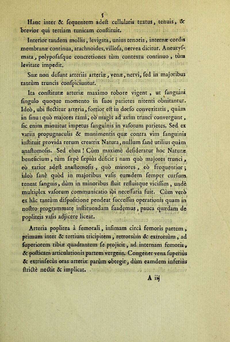 i Hanc inter & fequentem adeft cellularis textus, tenuis, 8c trevior <jui tertiani tunicam conftituit. Interior tandem mollis, levigata, unius tenoris, internae cordis membranae continua, arachnoides, villofa, nervea dicitur. Aneuryf- mata j polypofafque concretiones tum contextu continuo , tura levitate impedit. Suae non defunt arteriis arteriae, yenae,nervi, fed in majoribus tantum truncis confpiciuntur. Ita conftitutac arteriae maximo robore vigent , ut ^fanguini Ungulo quoque momento in fuos parietes nitenti obnitantur. Ideo, ubi fleditur arteria,fortior eft in dorfo convexitatis, quam in finurqub majores rami, eo magis ad axim trunci convergunt, fic enim minuitur impetus fanguinis in vaforum parietes. Sed ex variis propugnaculis & munimentis quae contra vim fanguinis inftituit provida rerum creatrix Natura, nullum fane utilius quam anaftomofis. Sed eheu ! Cum maxime defideratur hoc Natura: beneficium , tum faepe faepius deficit j nam quo majores trunci, eb rarior adeft anaftomofis , quo minores , eb frequentior j ideb fane quod in majoribus vafis eumdem femper curfum teneat fanguis , dum in minoribus fluit refluitque viciflim , unde multiplex vaforum communicatio ibi neceflaria fuit. Cum vero ex hac tantum difpoiitione pendeat fuccefllis operationis quam in noftro programmate inftituendam fuademus, pauca quaedam de popliteis ya(is adjicere liceat. Arteria poplitea a femorali, infimam circa femoris partem, primum inter & tertium tricipitem, retrorsum extrorsiim , ad (iiperiorem tibix quadrantem fe projicit, ad.internam femoris, &pofticam articulationis partem vergeiis. Congener vena fupeirius & extrinfecus oras arterix parum ©btegit, dum eamdem inferius ftridc nedit & implicat.